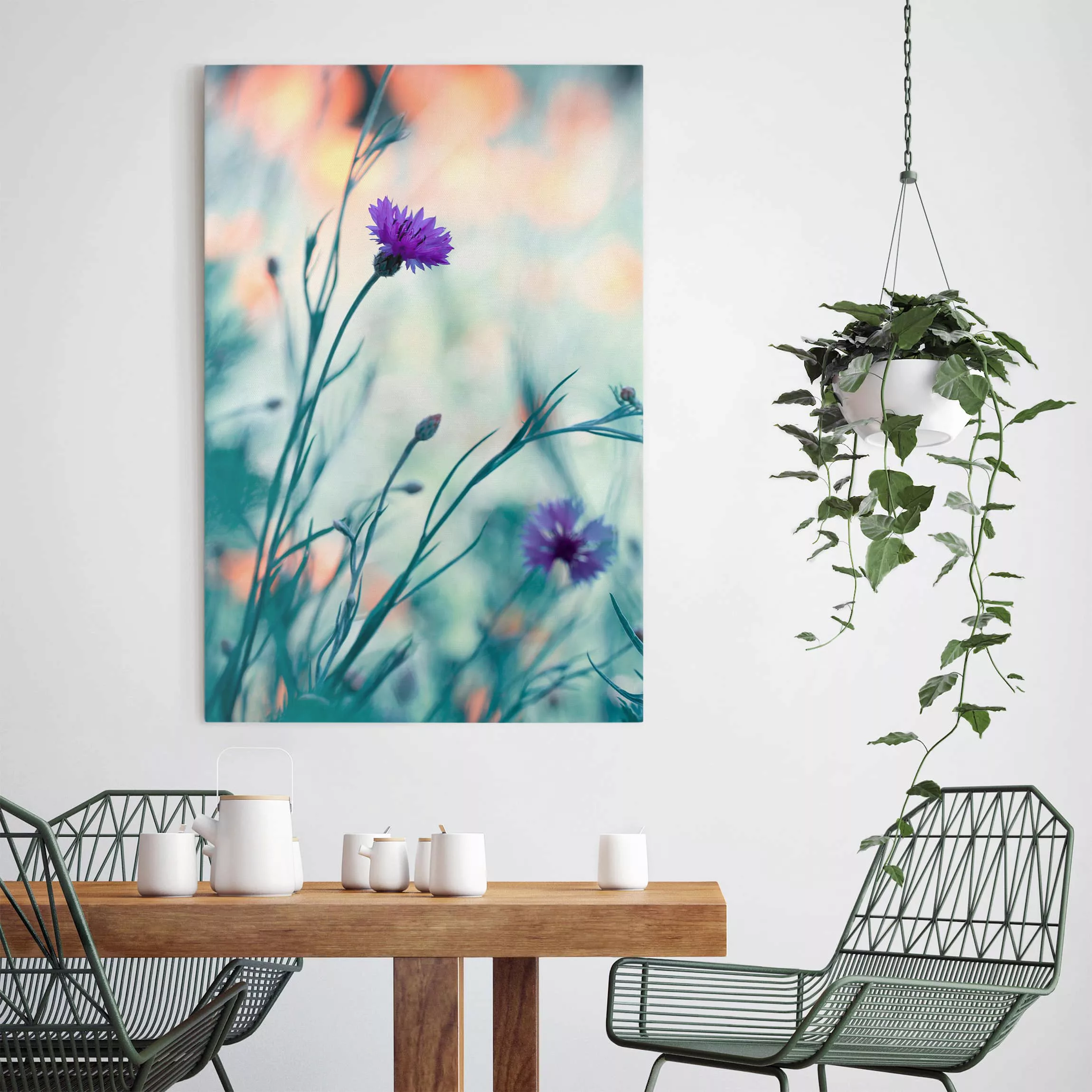 Leinwandbild Blumen - Hochformat Kornblumen günstig online kaufen