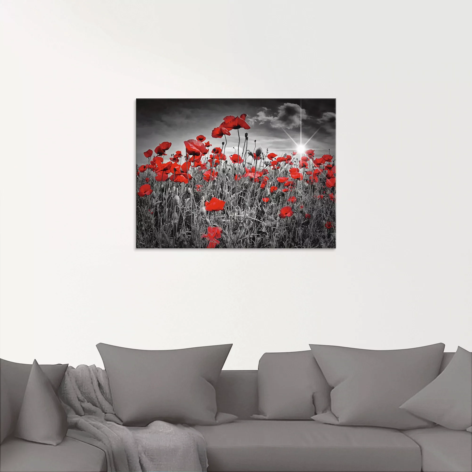 Artland Glasbild »Idyllisches Mohnblumenfeld«, Blumen, (1 St.), in verschie günstig online kaufen
