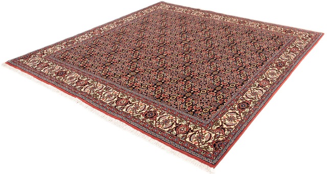 morgenland Orientteppich »Perser - Bidjar quadratisch - 202 x 197 cm - helr günstig online kaufen