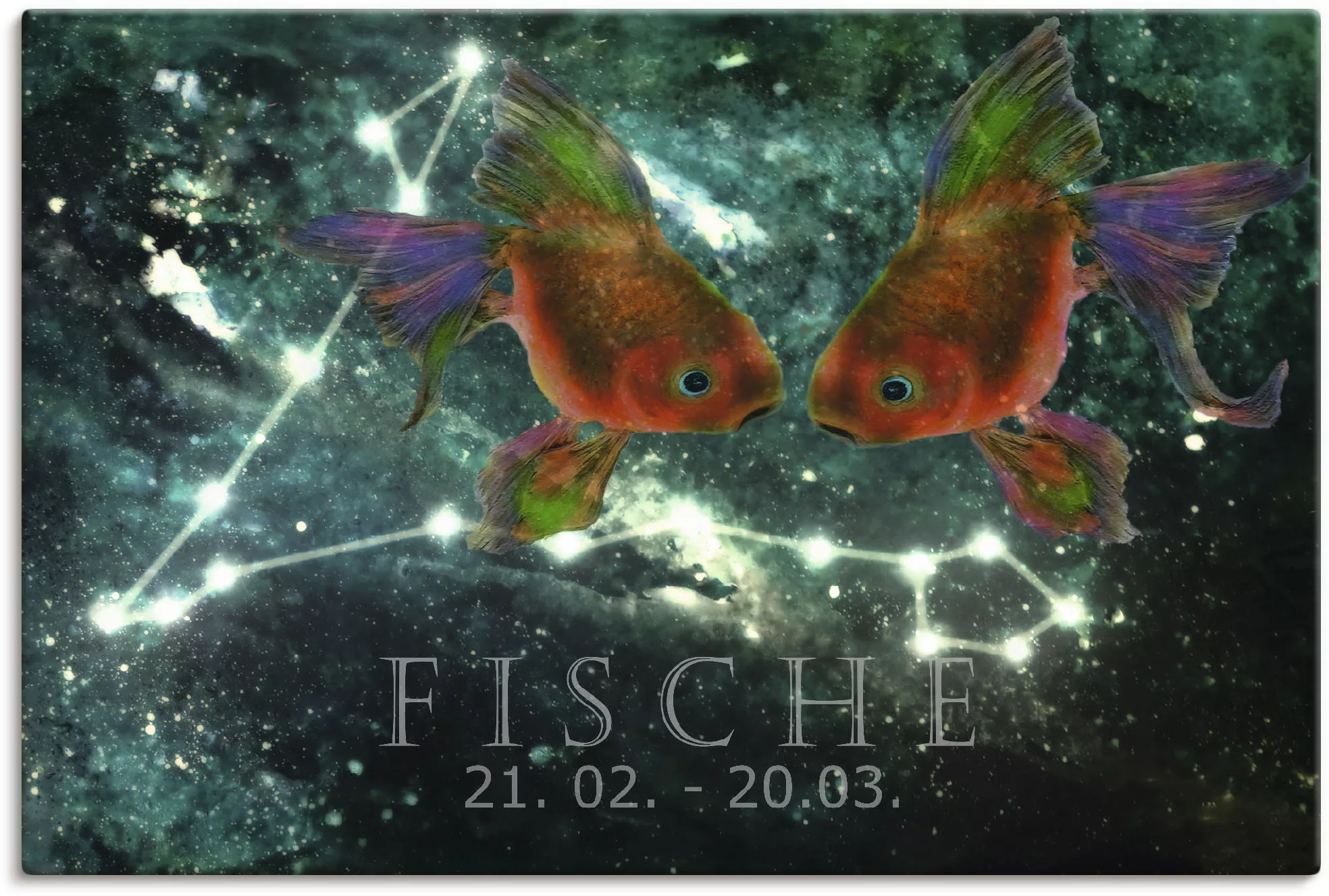 Artland Wandbild »Sternzeichen - Fische«, Bilder von Sternzeichen, (1 St.), günstig online kaufen