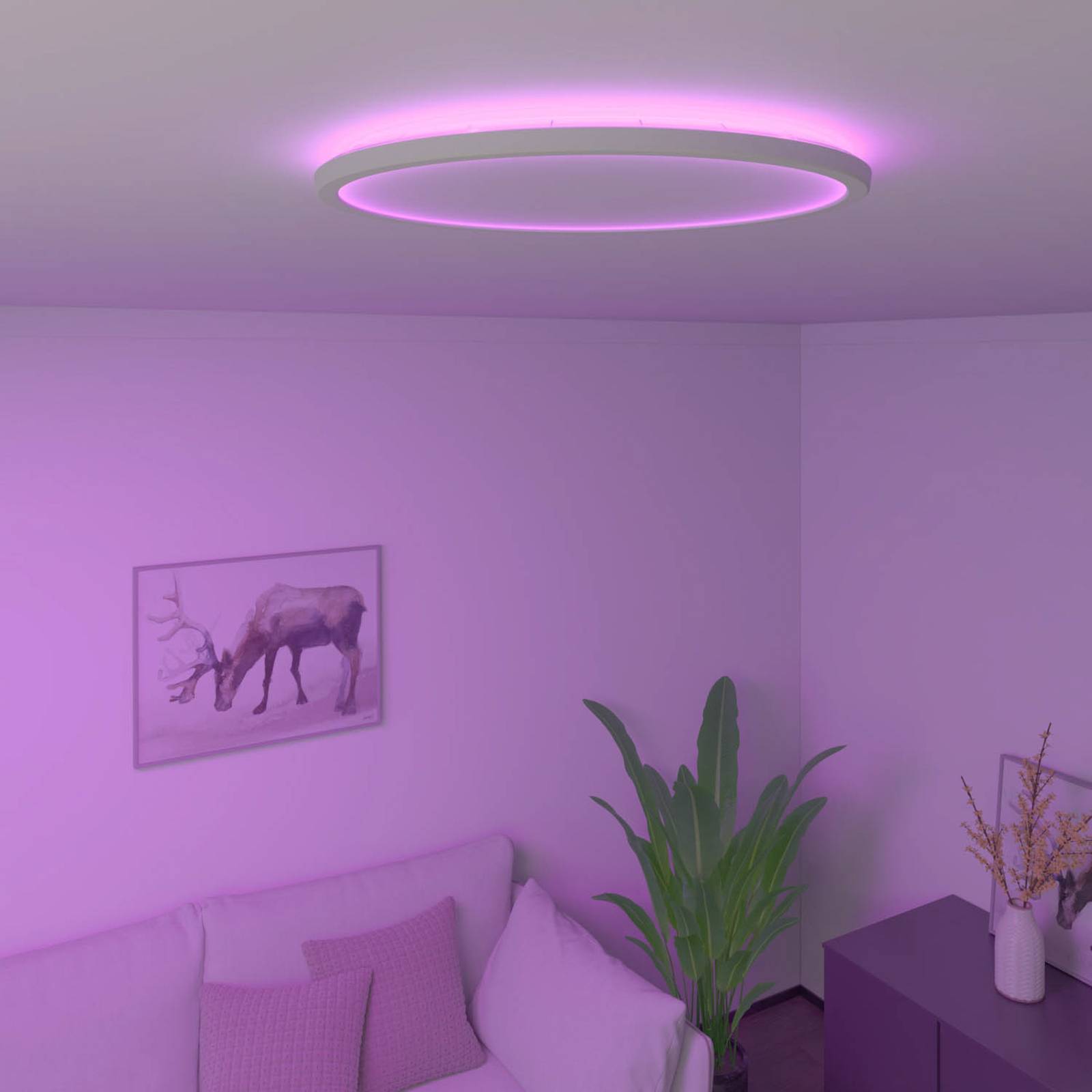 Calex Smart Halo LED-Deckenleuchte, Ø 40 cm günstig online kaufen