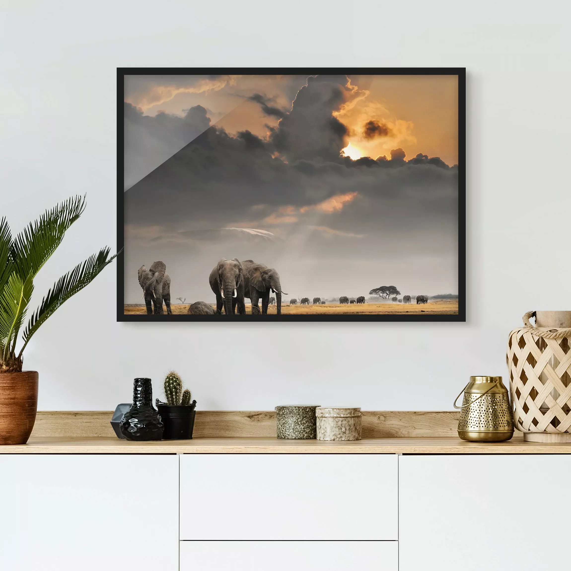Bild mit Rahmen Tiere - Querformat Elefanten der Savanne günstig online kaufen
