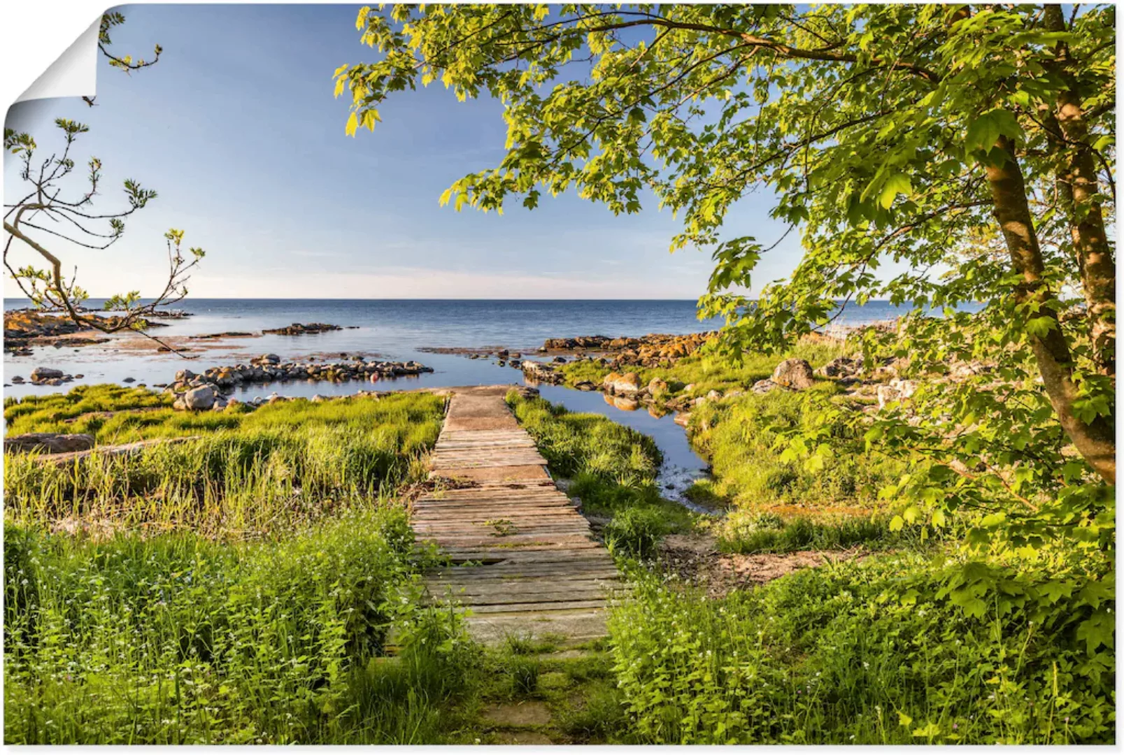 Artland Wandbild "Der Weg zum Meer auf Bornholm", Küstenbilder, (1 St.), al günstig online kaufen