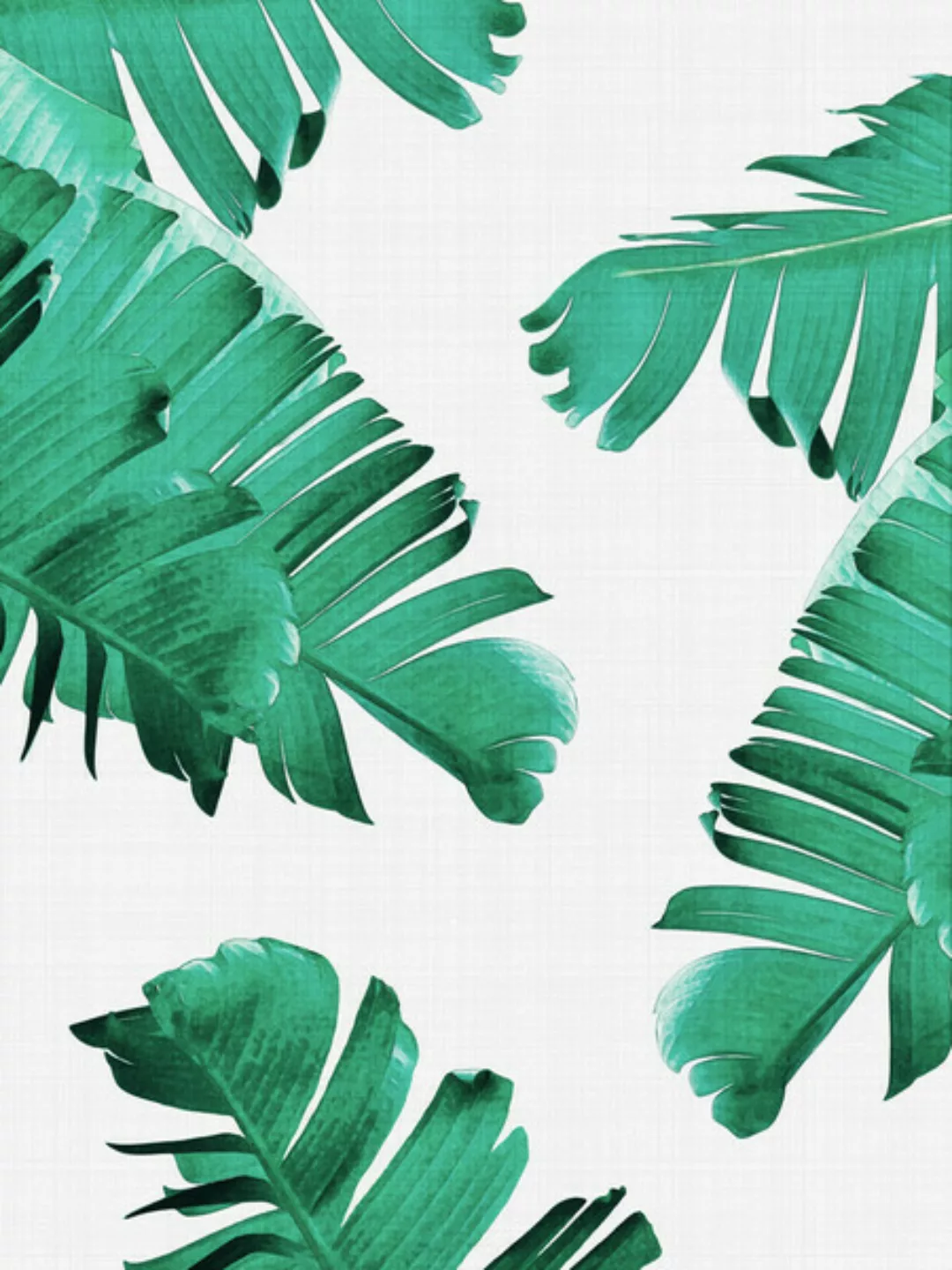 Poster / Leinwandbild - Tropical Leaves günstig online kaufen
