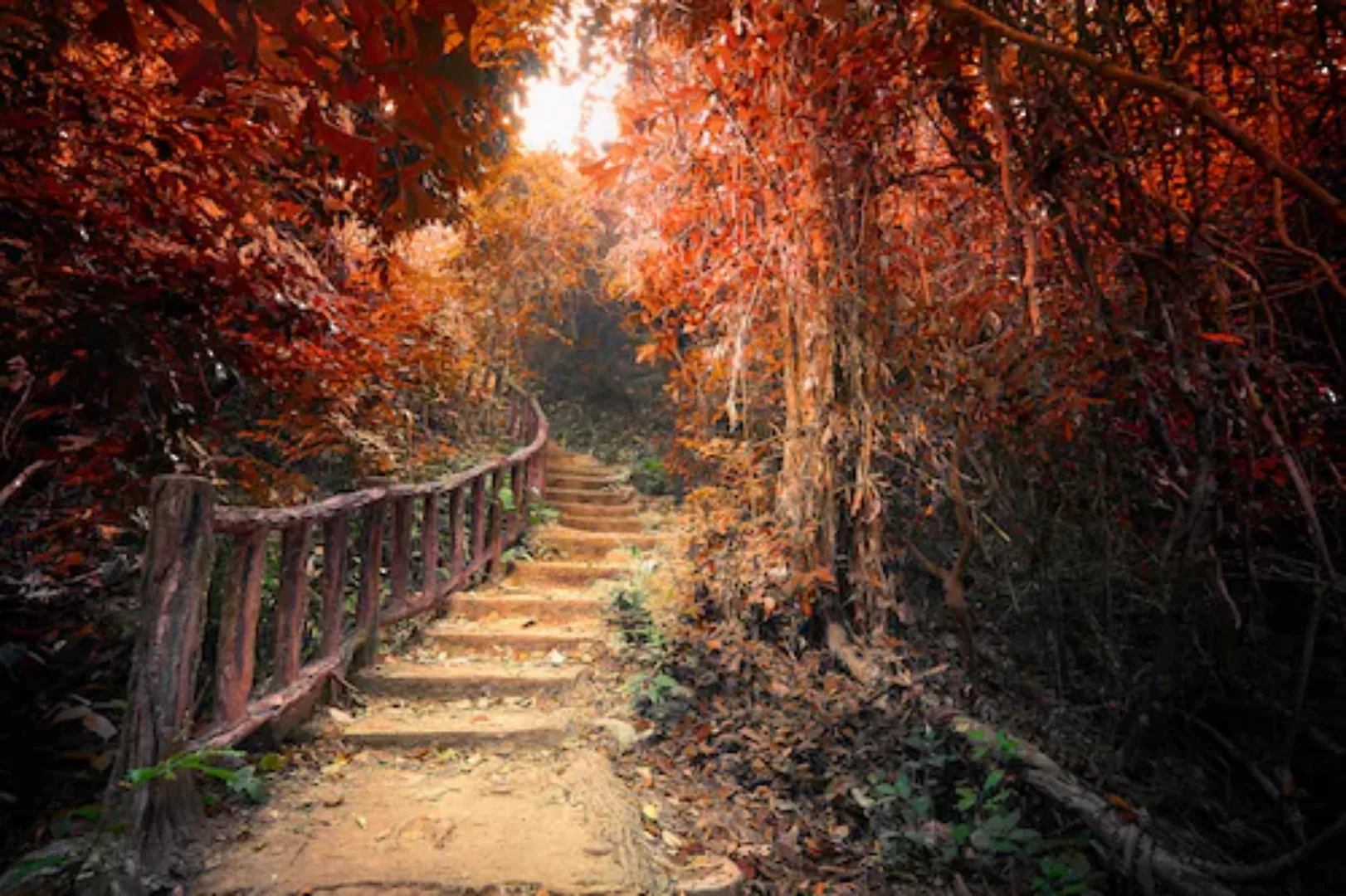 Papermoon Fototapete »Treppe durch Wald« günstig online kaufen