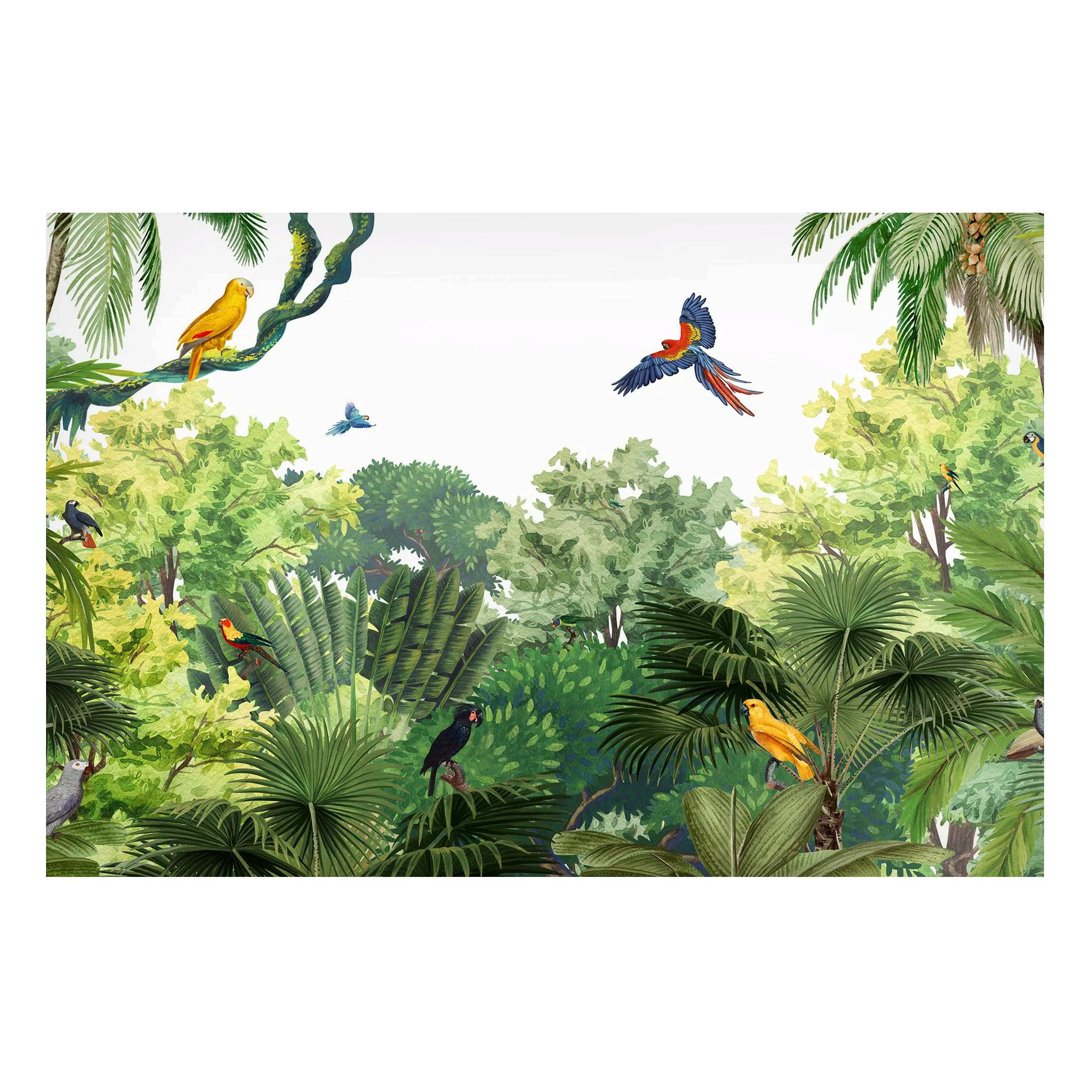 Magnettafel Papageienparade im Dschungel günstig online kaufen