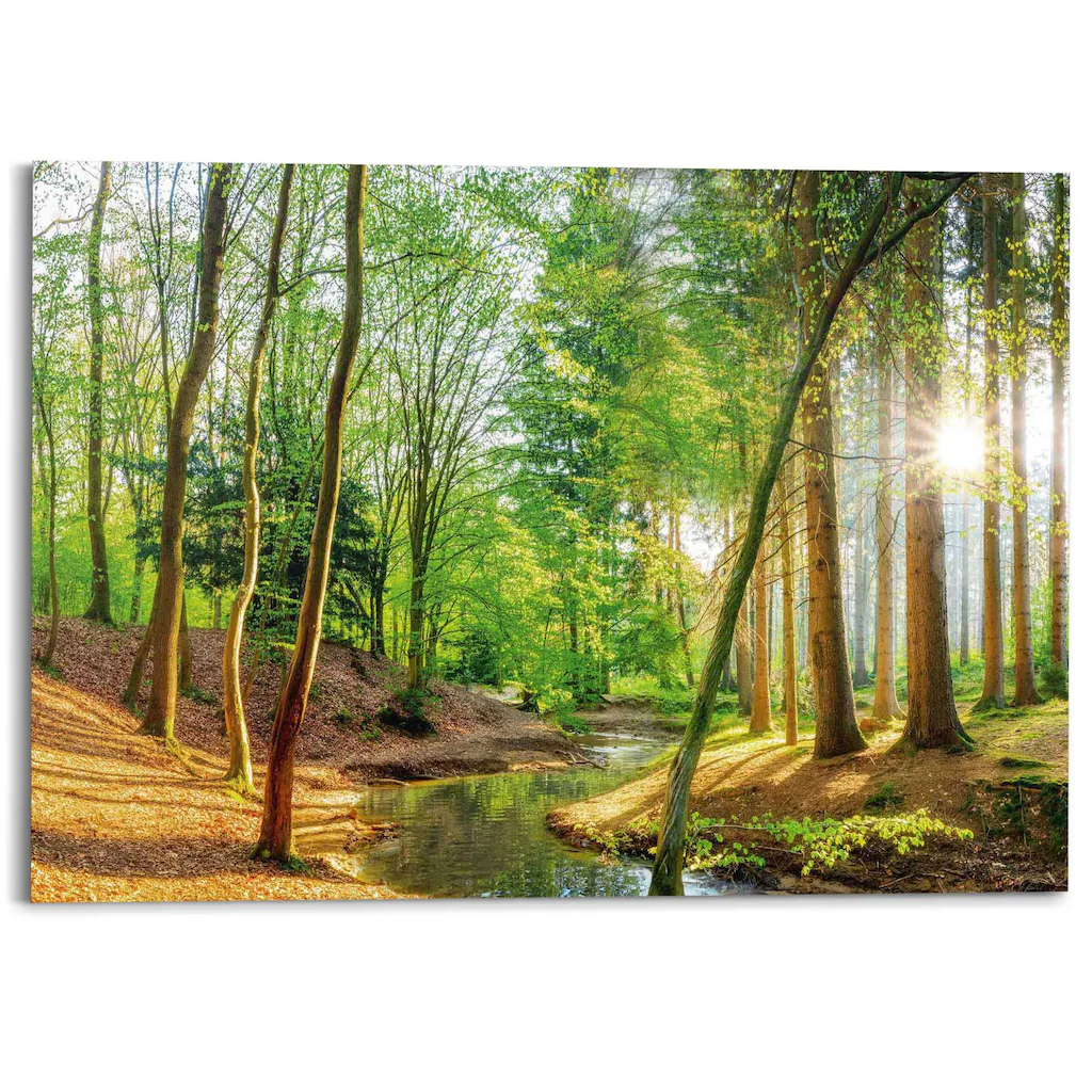 Reinders Deco-Panel "Sonniger Wald", Hobbyraum - Grün - MDF - Wald - 140x10 günstig online kaufen