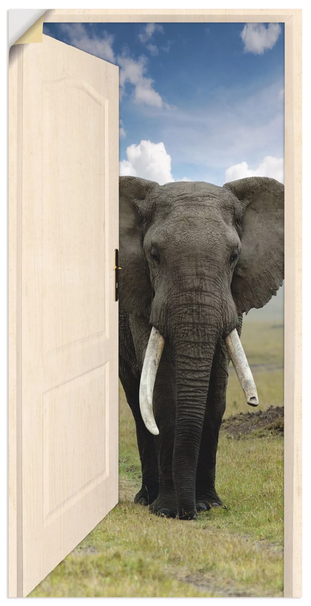 Artland Wandbild »Offene weiße Türe mit Blick auf Elefant«, Wildtiere, (1 S günstig online kaufen