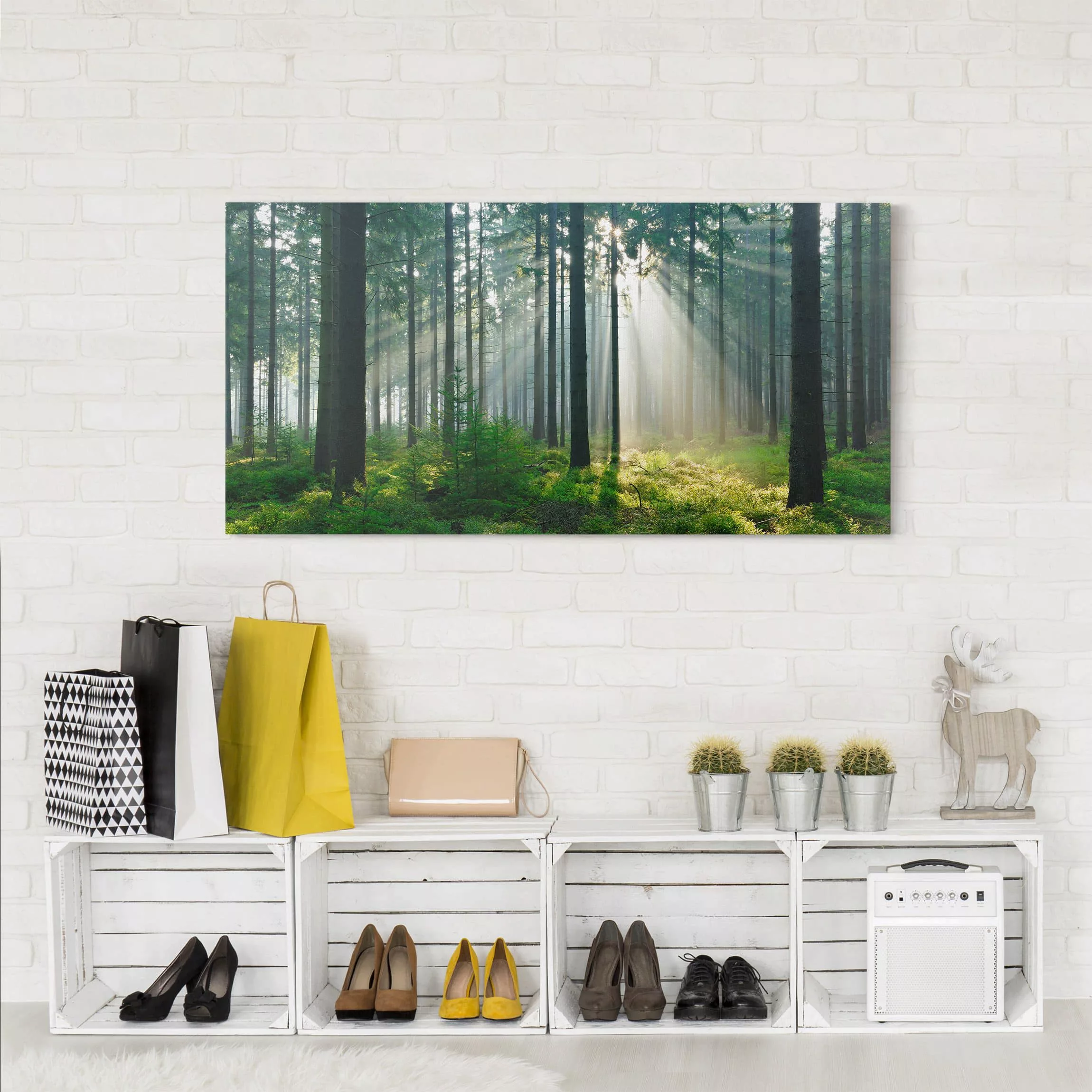 Leinwandbild - Querformat Enlightened Forest günstig online kaufen