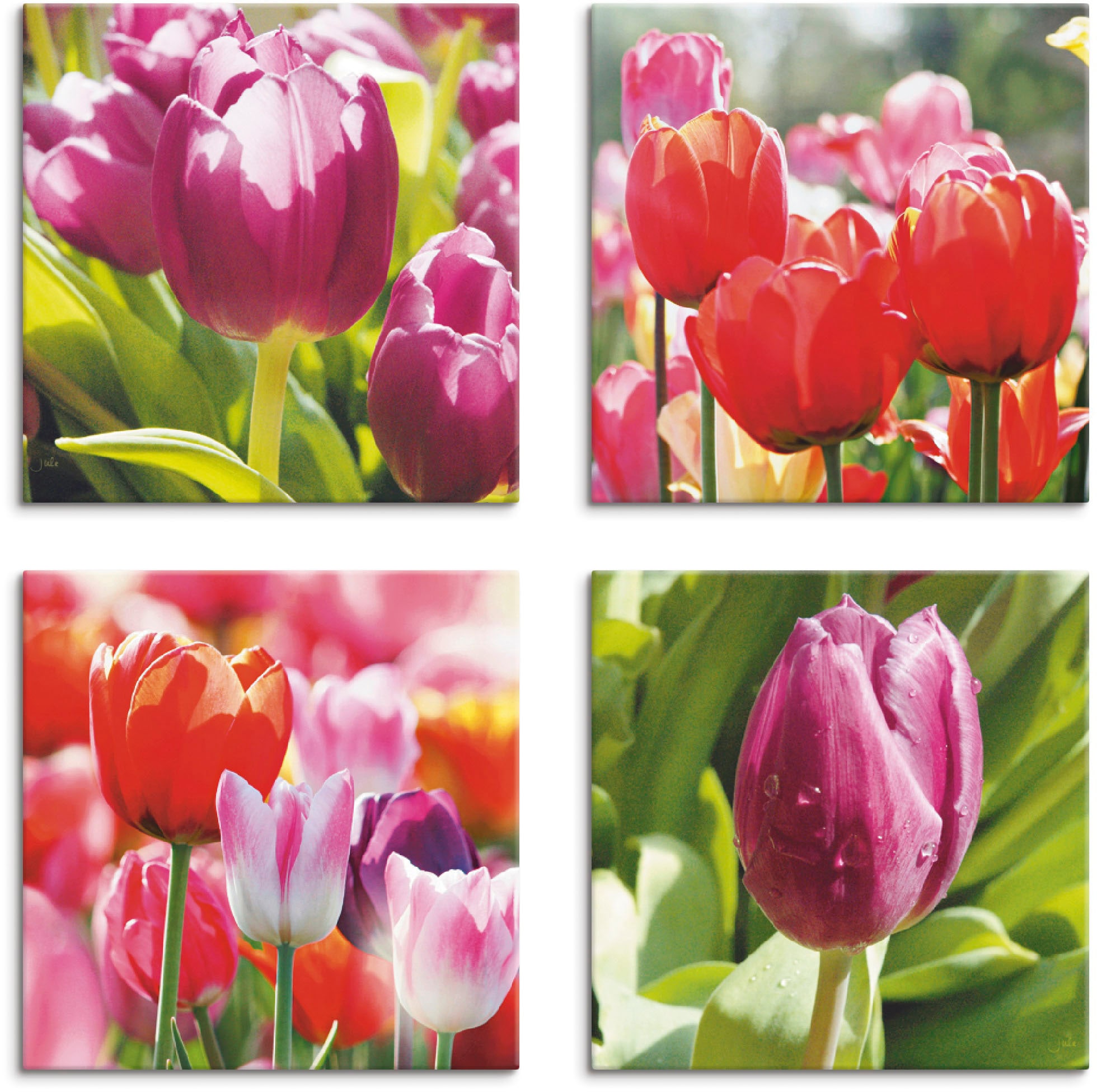 Artland Leinwandbild "Frühling und Tulpen", Blumen, (4 St.), 4er Set, versc günstig online kaufen