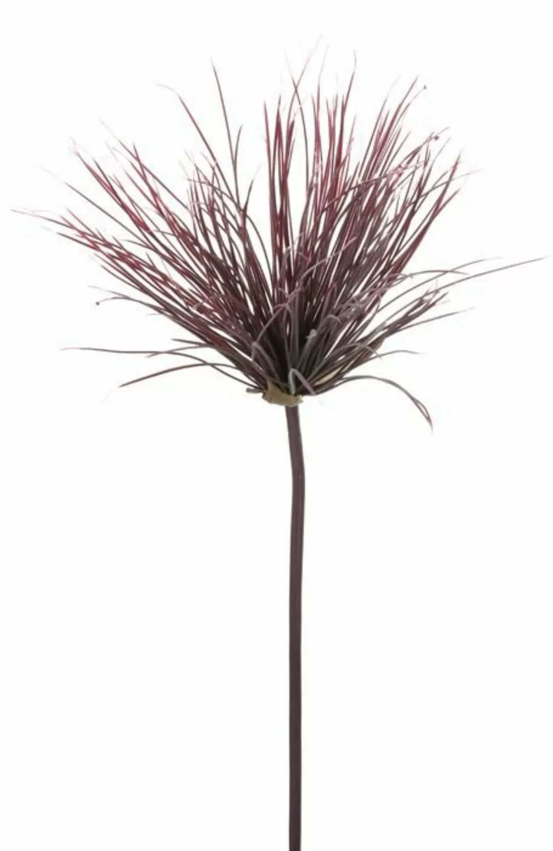 Flower & Style Kunstpflanzen & -blumen Cyperuszweig purpur 73 cm (lila) günstig online kaufen