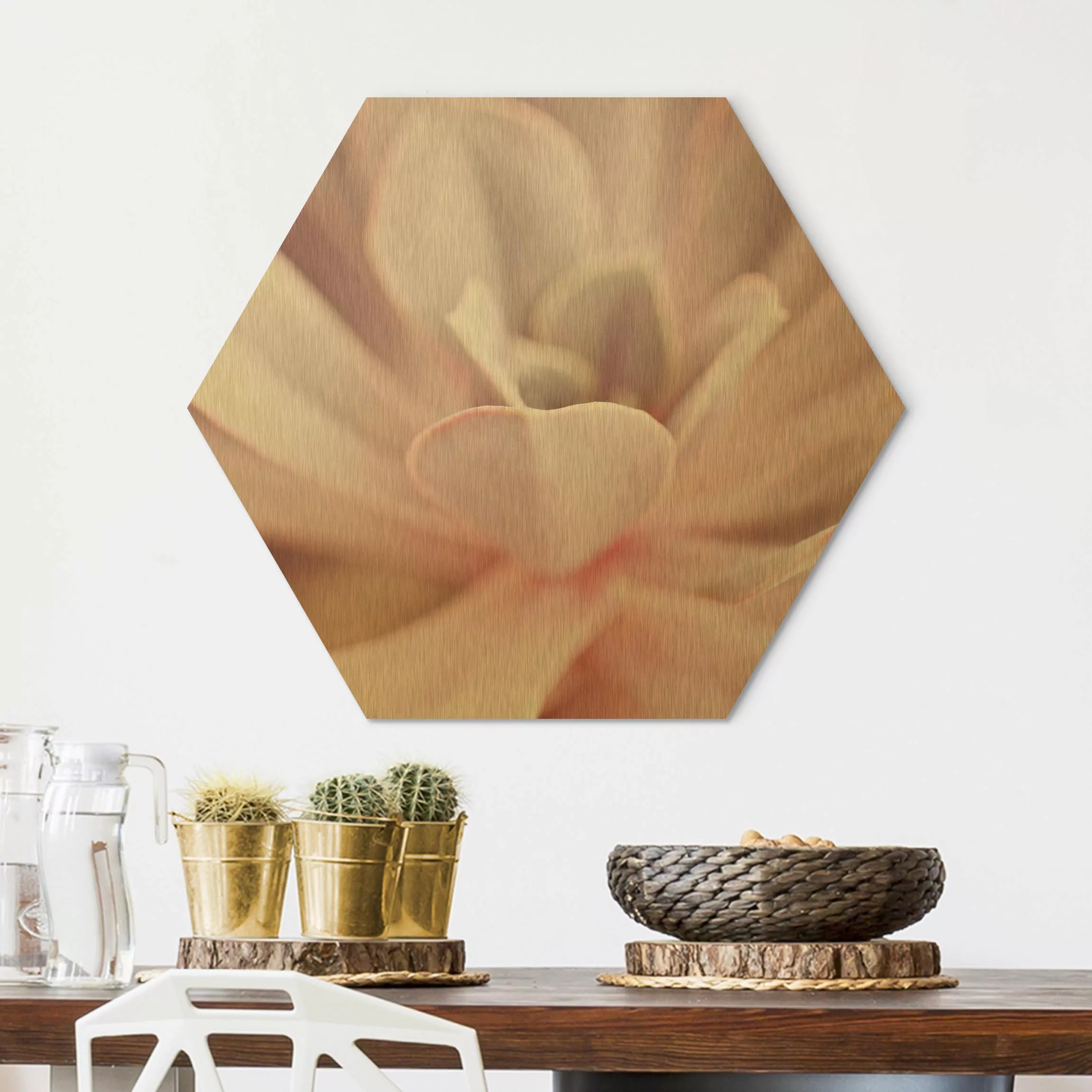 Hexagon-Alu-Dibond Bild Rosane Sukkulentenblüte günstig online kaufen