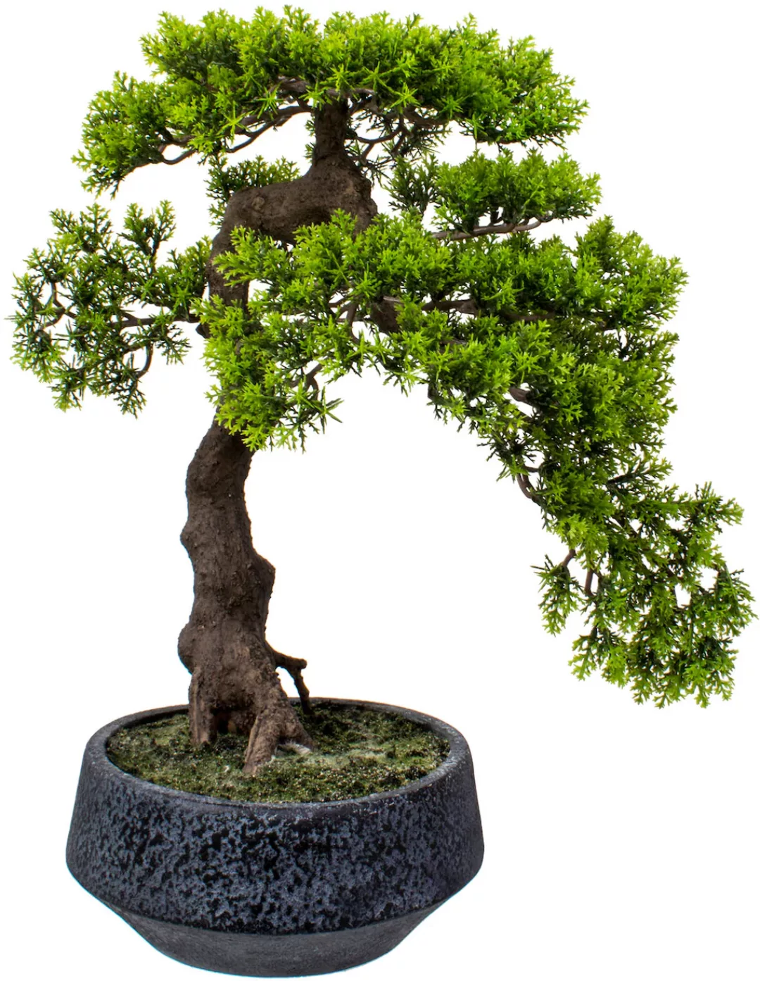 Home affaire Kunstbonsai "Louvenne", Kunstpflanze, im Topf günstig online kaufen