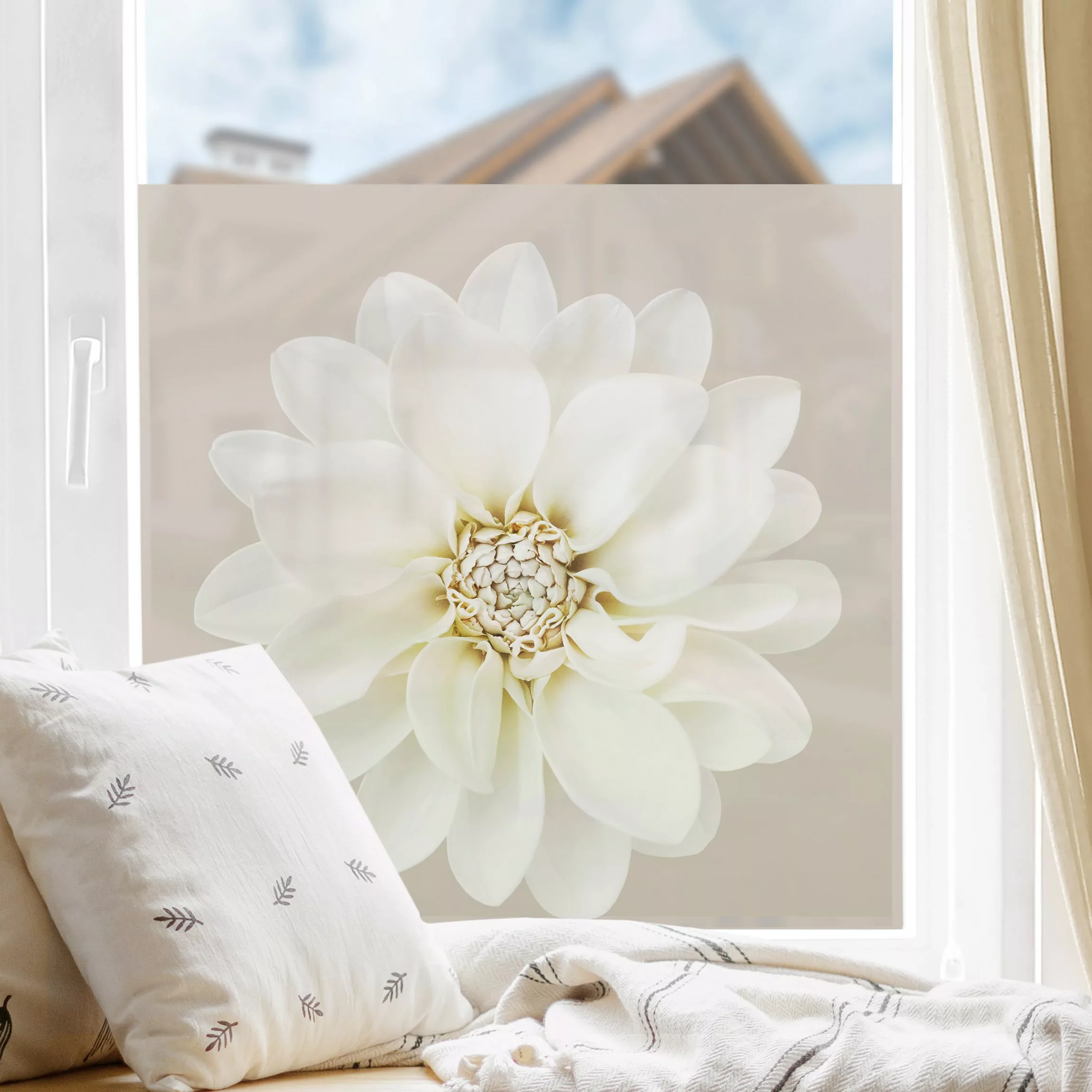 Fensterfolie Dahlie Weiß Taupe Pastell Zentriert günstig online kaufen