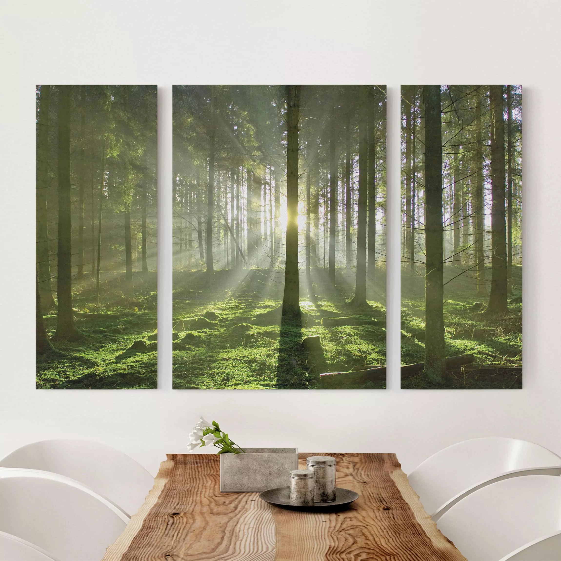 3-teiliges Leinwandbild Wald - Querformat Spring Fairytale günstig online kaufen