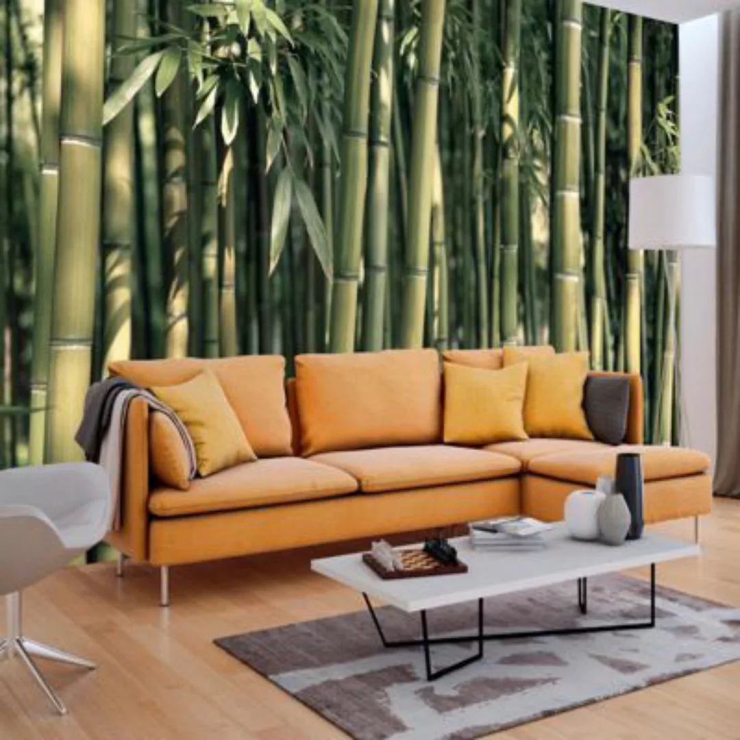 artgeist Fototapete Bamboo Exotic grün Gr. 250 x 175 günstig online kaufen