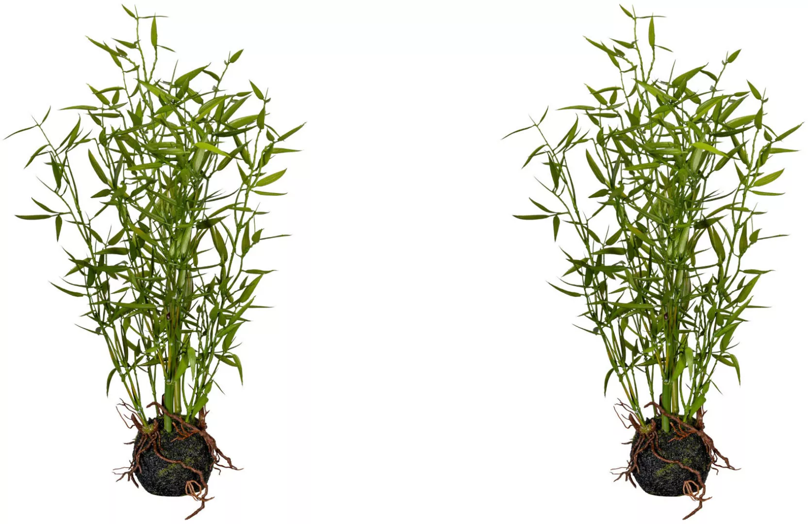 Creativ green Künstliche Zimmerpflanze »Bambus im Moosballen« günstig online kaufen