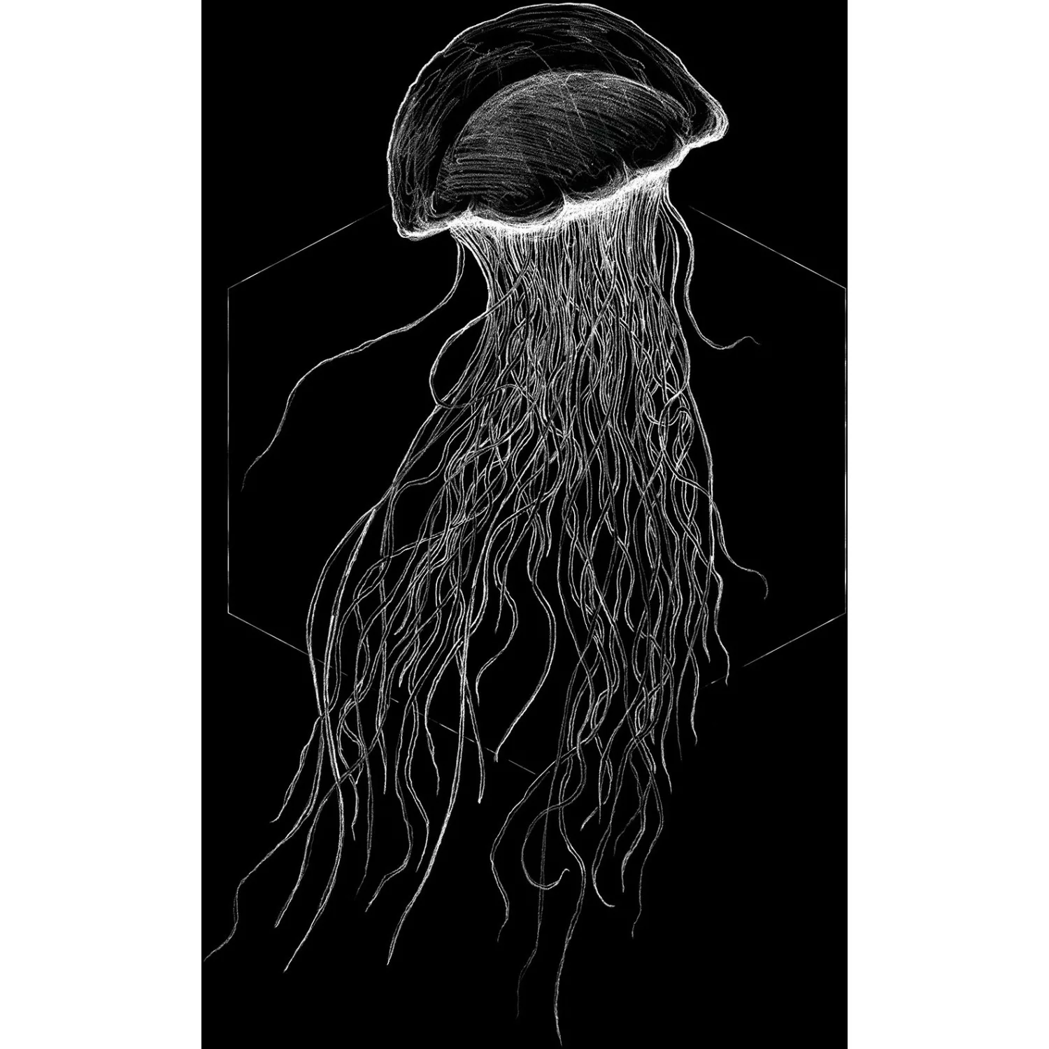 Komar Poster »Jellyfish Black«, Tiere, (1 St.), Kinderzimmer, Schlafzimmer, günstig online kaufen