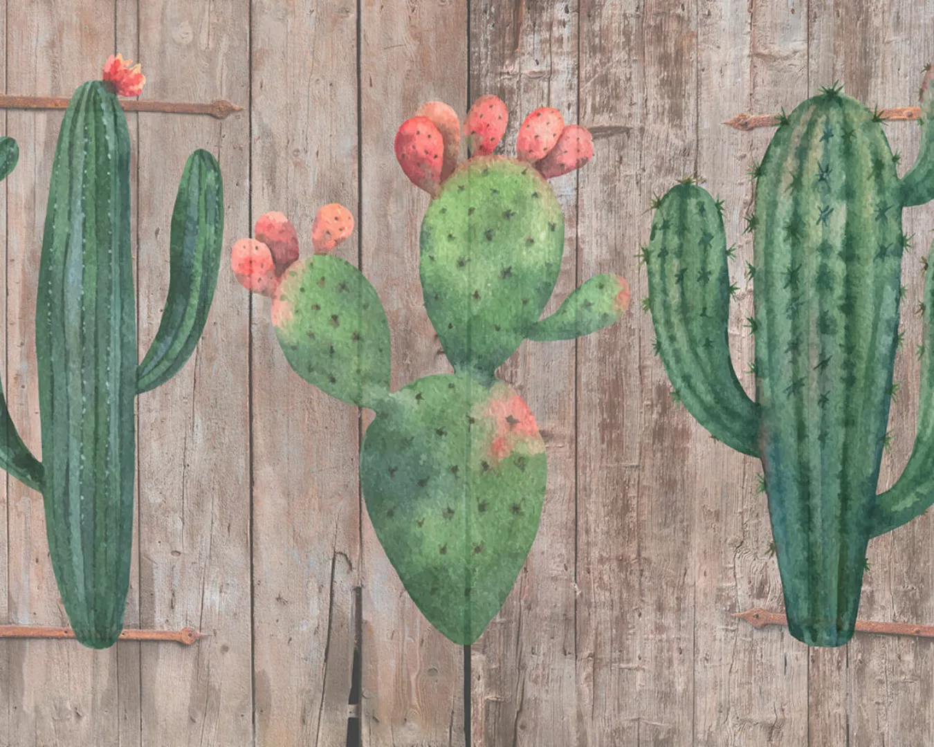 Fototapete "Cactus 2" 4,00x2,70 m / Glattvlies Brillant günstig online kaufen