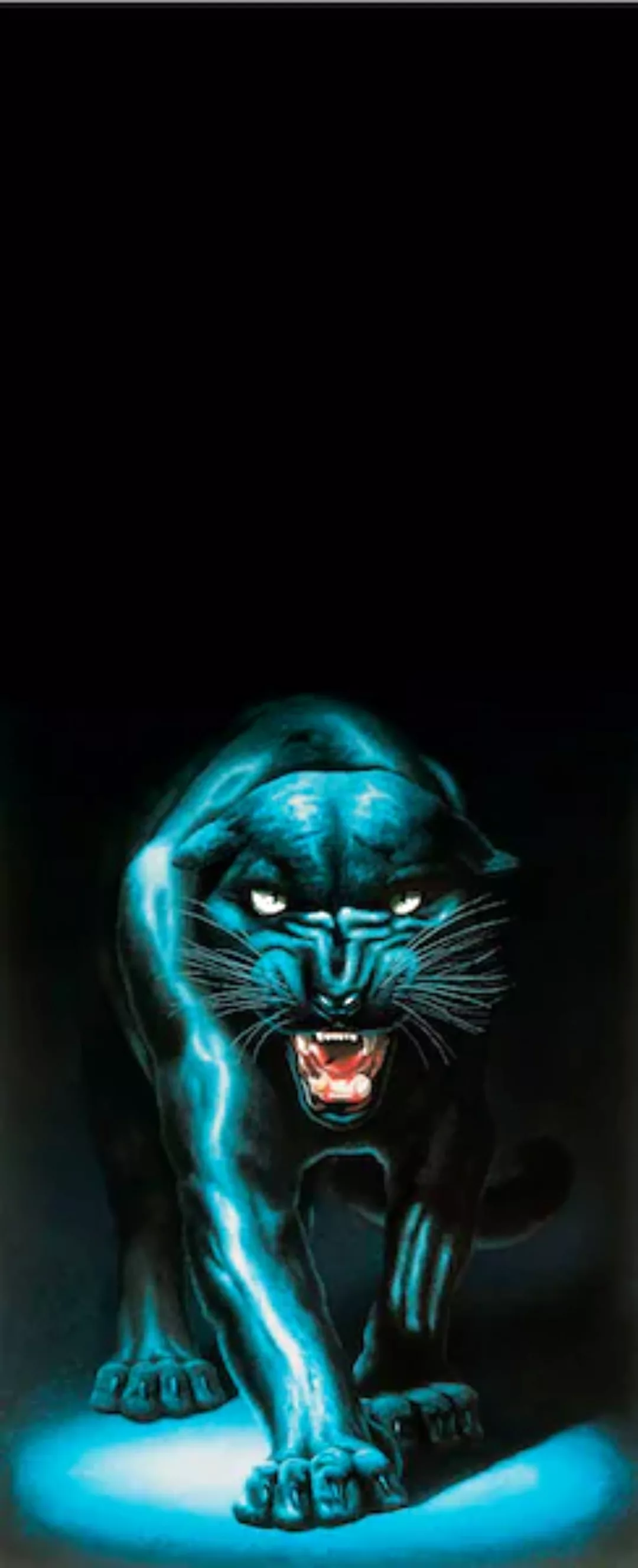 Papermoon Fototapete »Panther - Türtapete«, matt günstig online kaufen