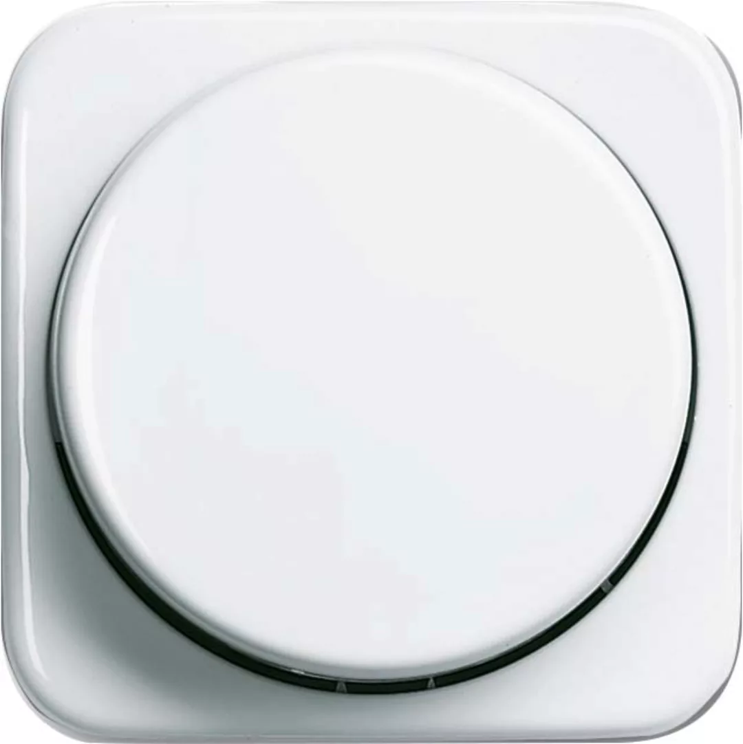 Busch-Jaeger Zentralscheibe aws für Drehdimmer 2115-214 - 2CKA006599A0237 günstig online kaufen