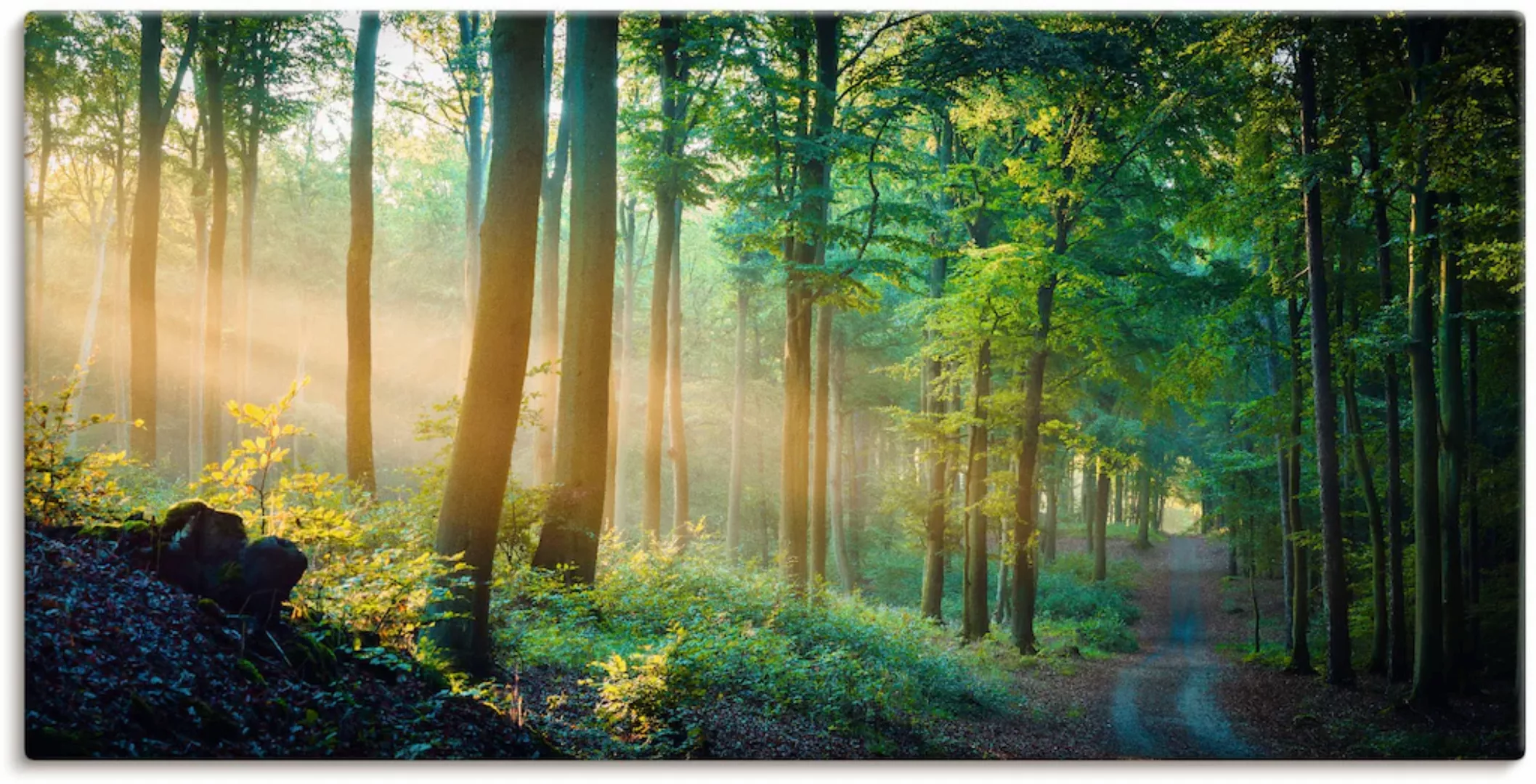 Artland Wandbild »Herbstmorgen im Wald«, Waldbilder, (1 St.) günstig online kaufen