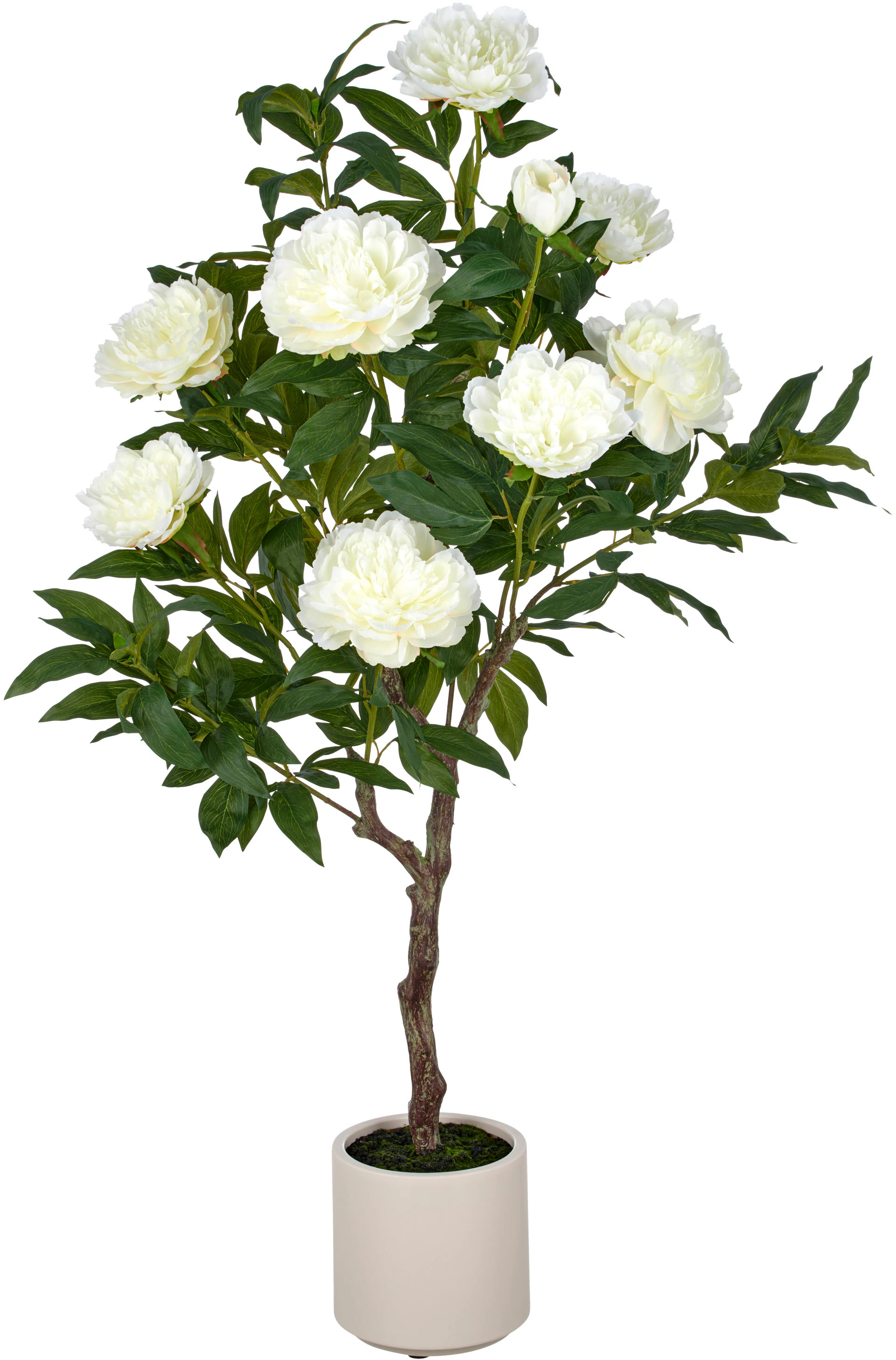 Creativ green Kunstpflanze "Peonie", im eleganten Topf günstig online kaufen