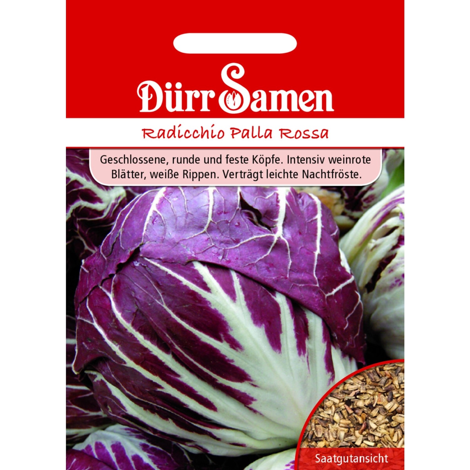Dürr Samen Radicchio Palla Rossa Saatgut günstig online kaufen