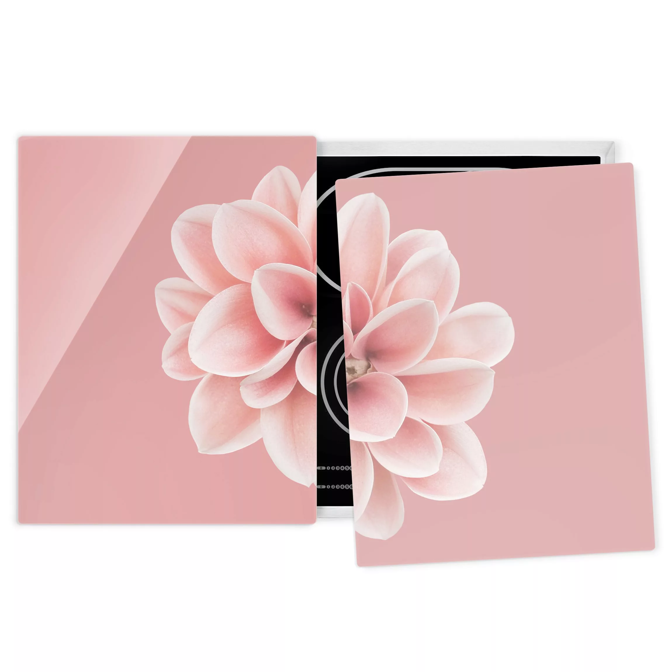 Herdabdeckplatte Blumen Dahlie Rosa Blush Blume Zentriert günstig online kaufen