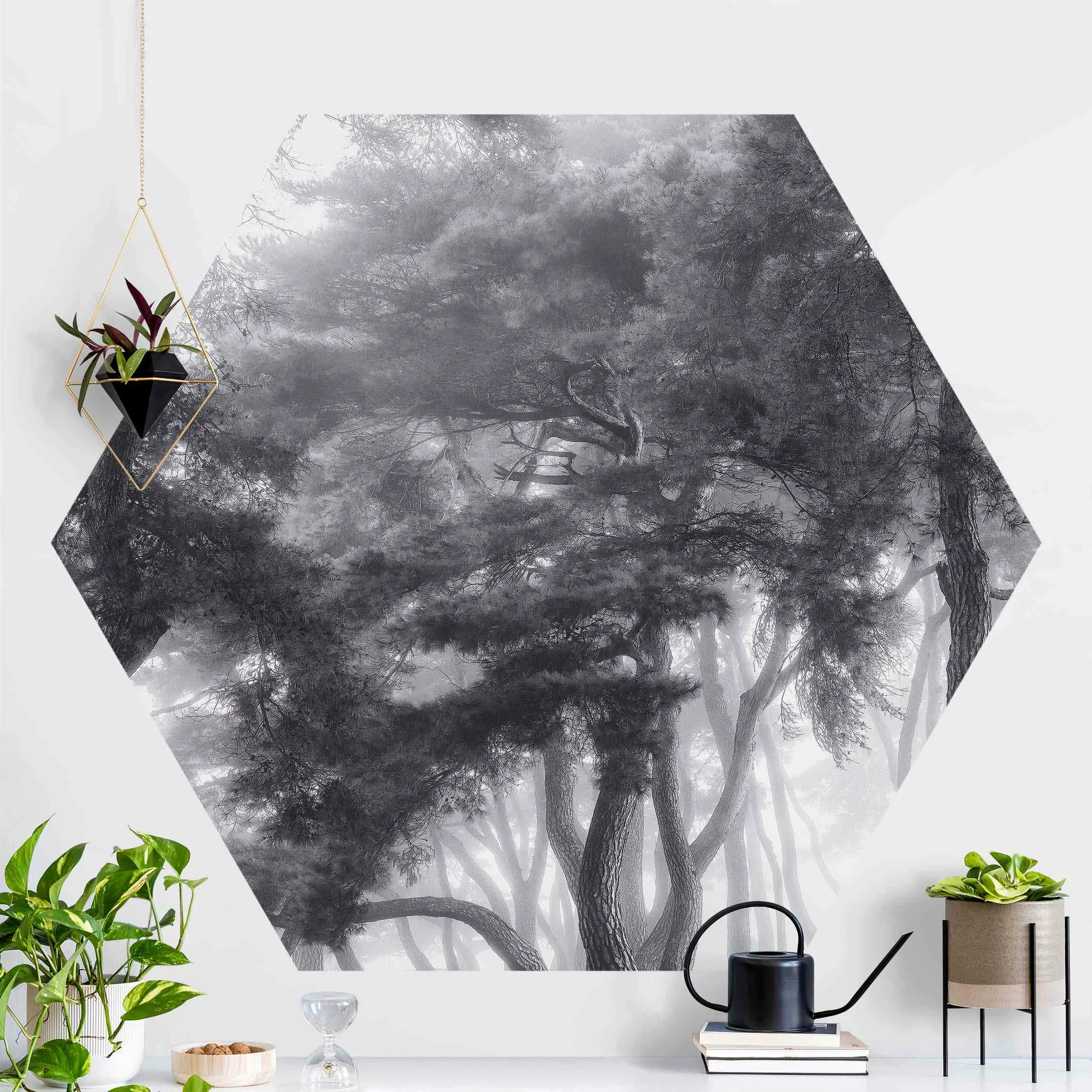 Hexagon Mustertapete selbstklebend Majestätische Bäume in Schwarz-weiß günstig online kaufen
