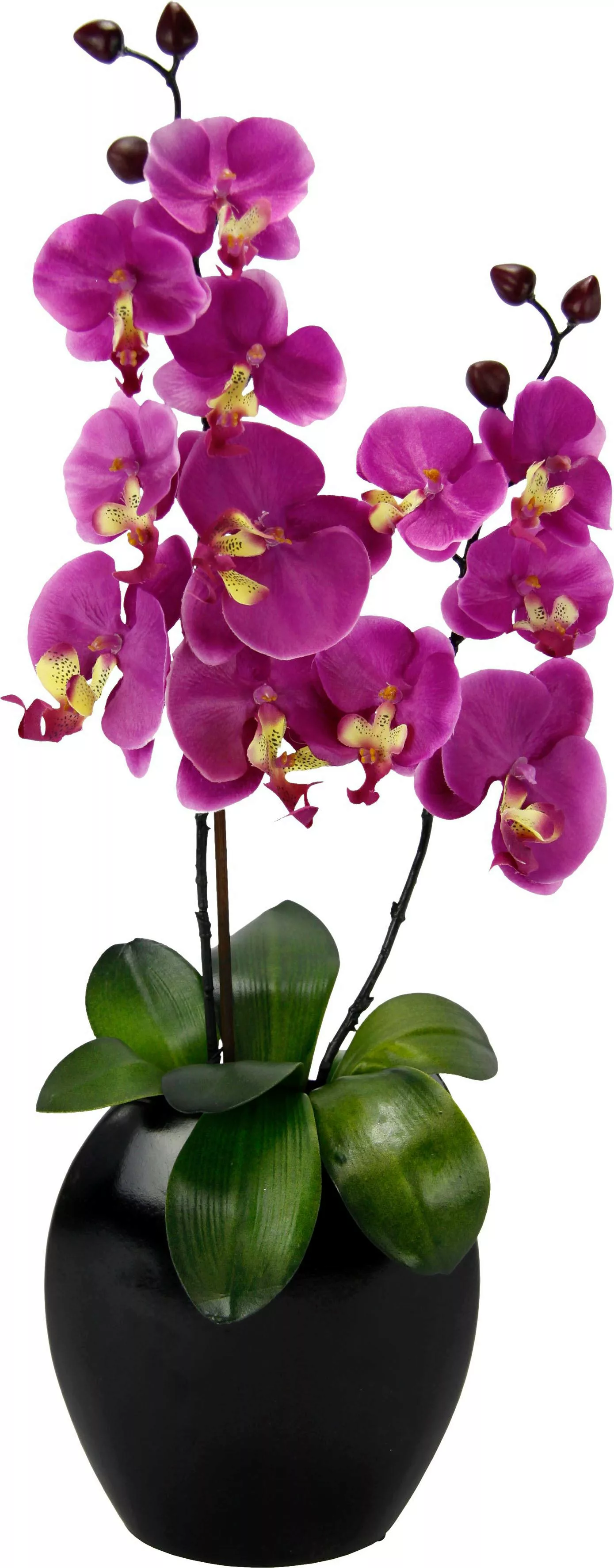 I.GE.A. Kunstpflanze "Phalaenopsis in Vase" günstig online kaufen
