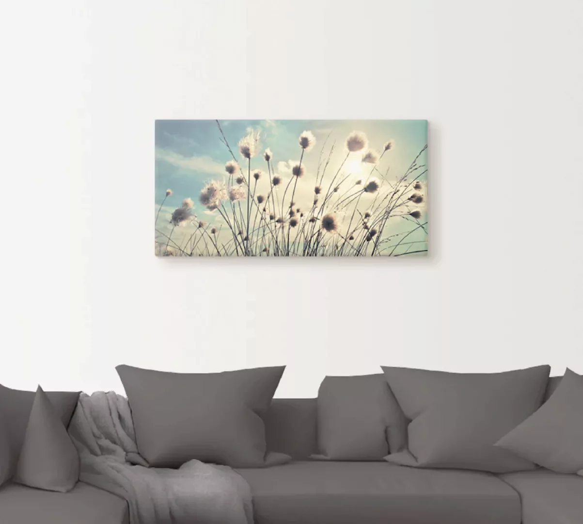 Artland Wandbild »Wollgras«, Gräser, (1 St.), als Alubild, Outdoorbild, Lei günstig online kaufen