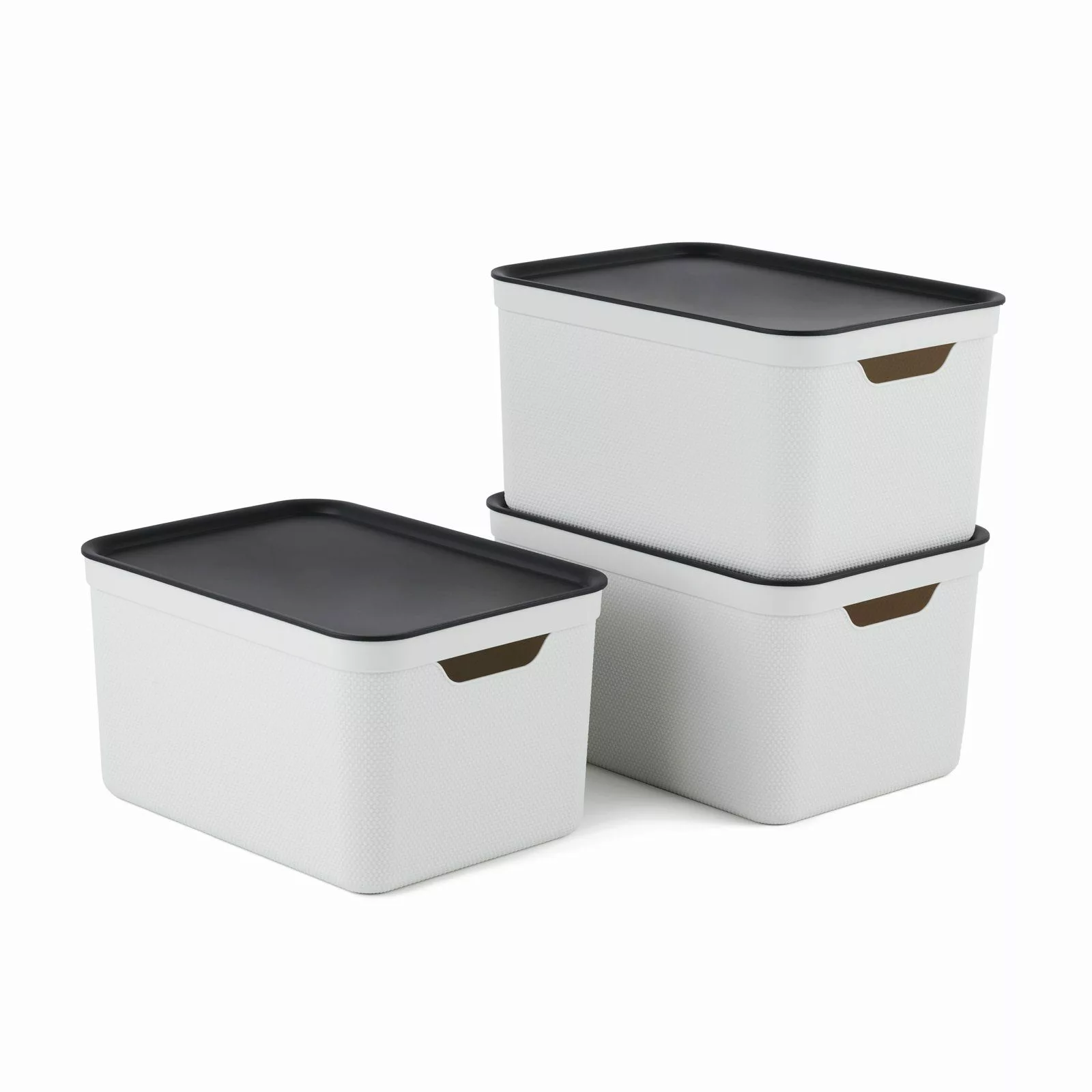ROTHO Aufbewahrungsbox 3er- Set Aufbewahrungskorb 16l günstig online kaufen