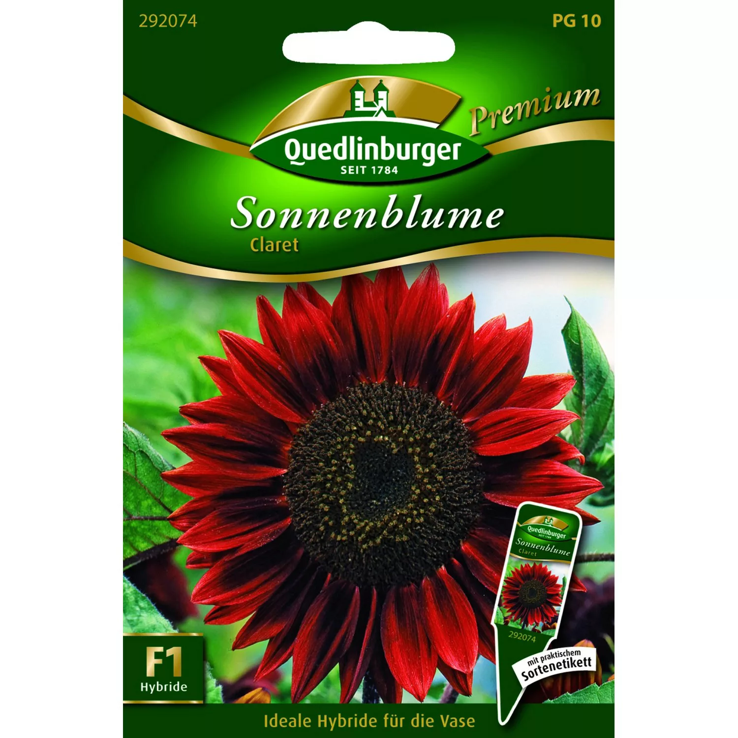 Quedlinburger Sonnenblume ''Claret'' günstig online kaufen