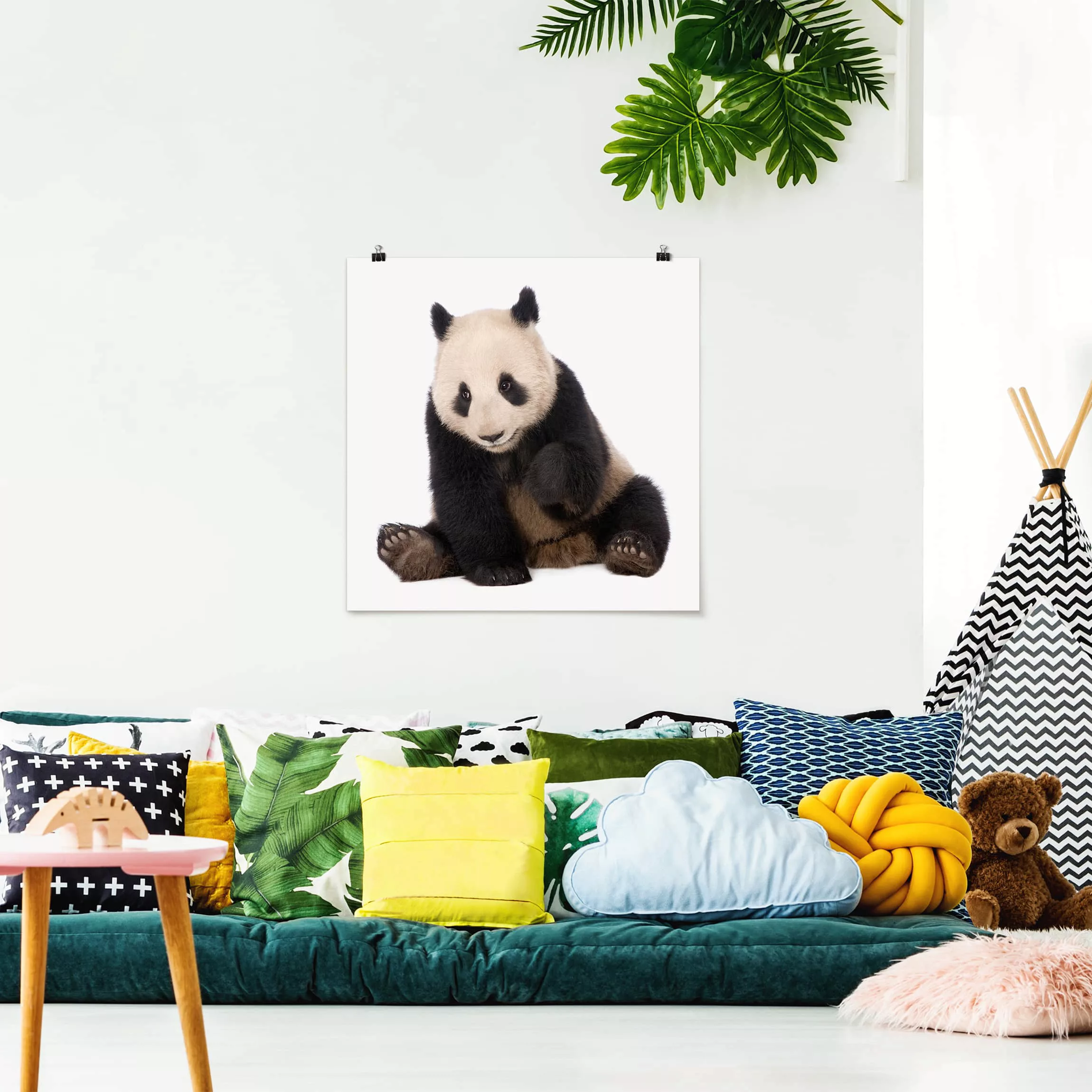 Poster Tiere - Quadrat Panda Tatzen günstig online kaufen