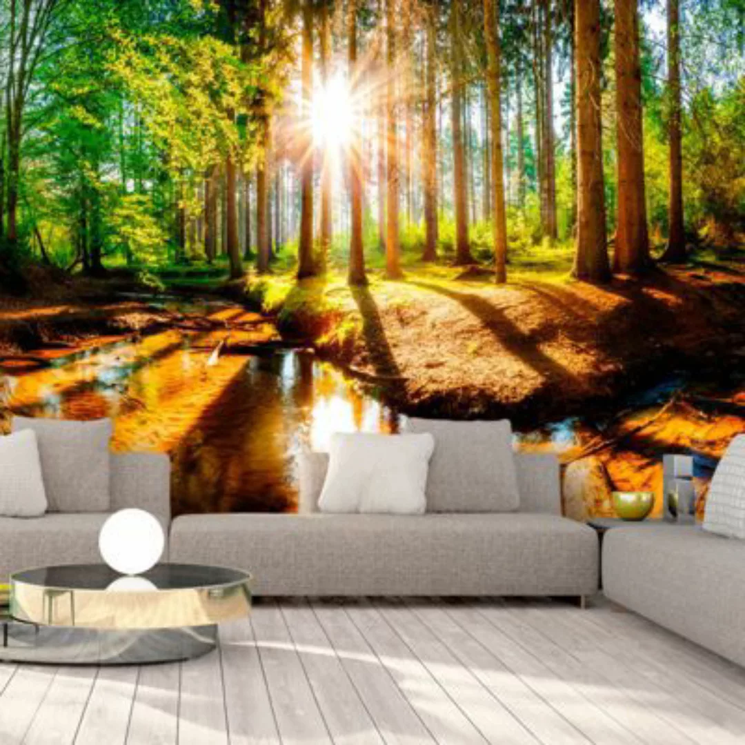 artgeist Fototapete Marvelous Forest mehrfarbig Gr. 300 x 210 günstig online kaufen