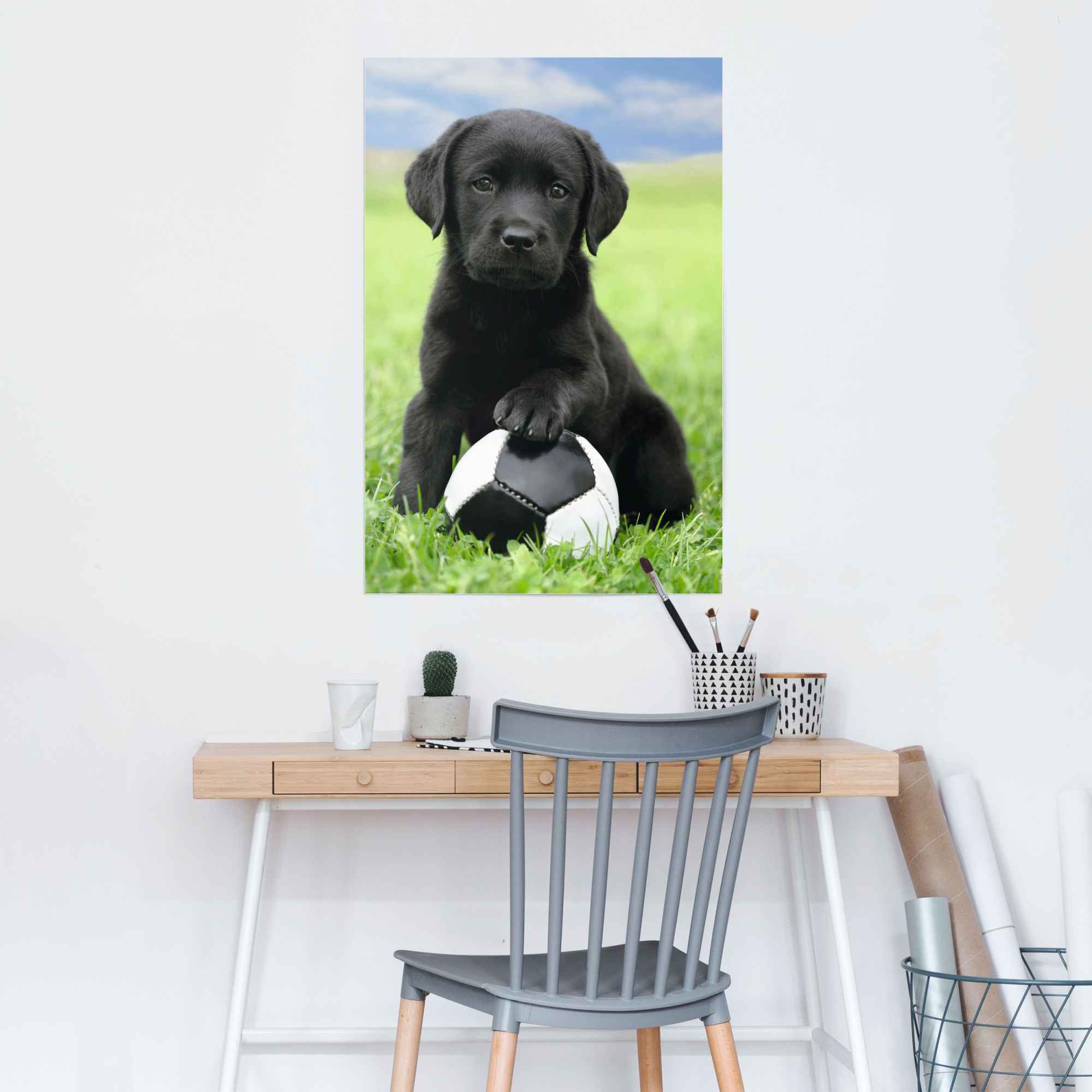 Reinders! Poster »Labrador Welpe Fußball«, (1 St.) günstig online kaufen