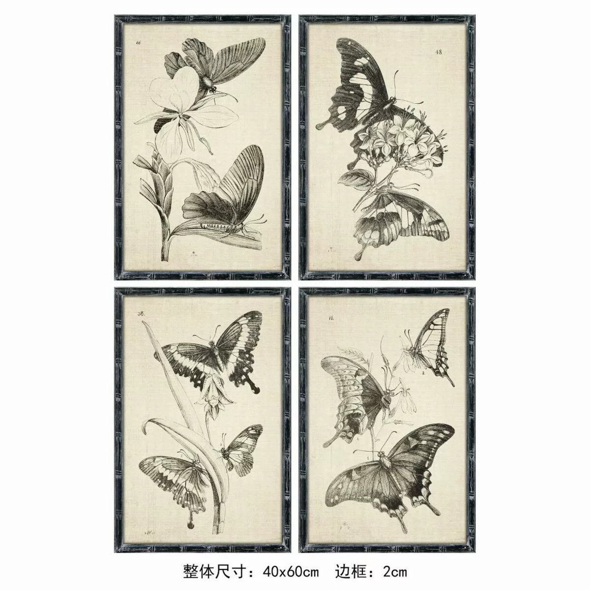 Bild Dkd Home Decor Schmetterlinge (40 X 60 X 2.8 Cm) (4 Stück) günstig online kaufen