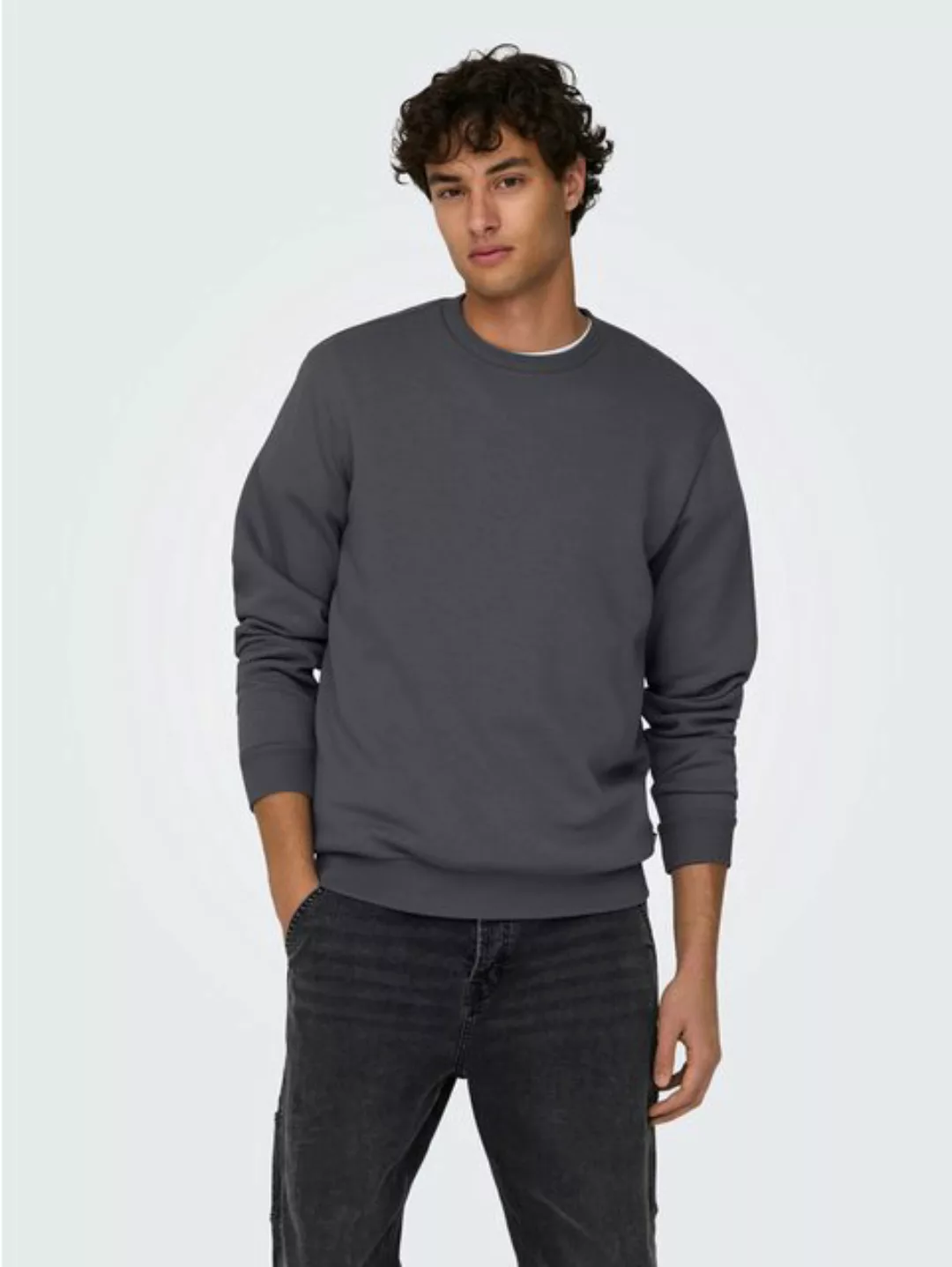 ONLY & SONS Sweatshirt "ONSCERES CREW NECK NOOS" günstig online kaufen