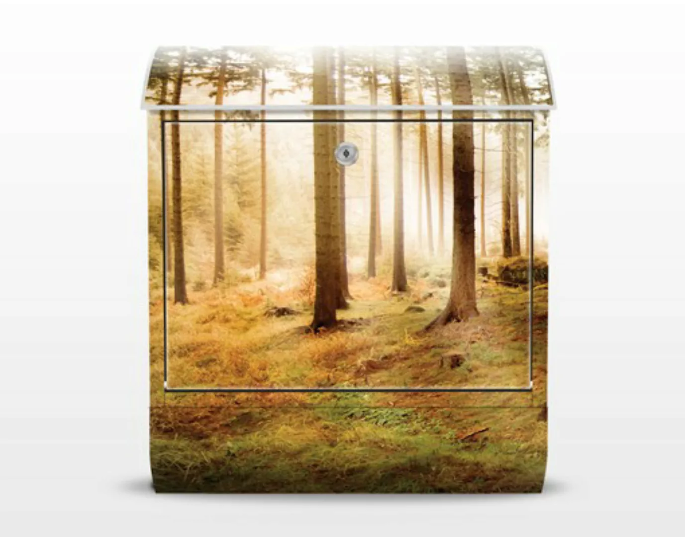 Briefkasten Natur & Landschaft No.CA48 Morning Forest günstig online kaufen