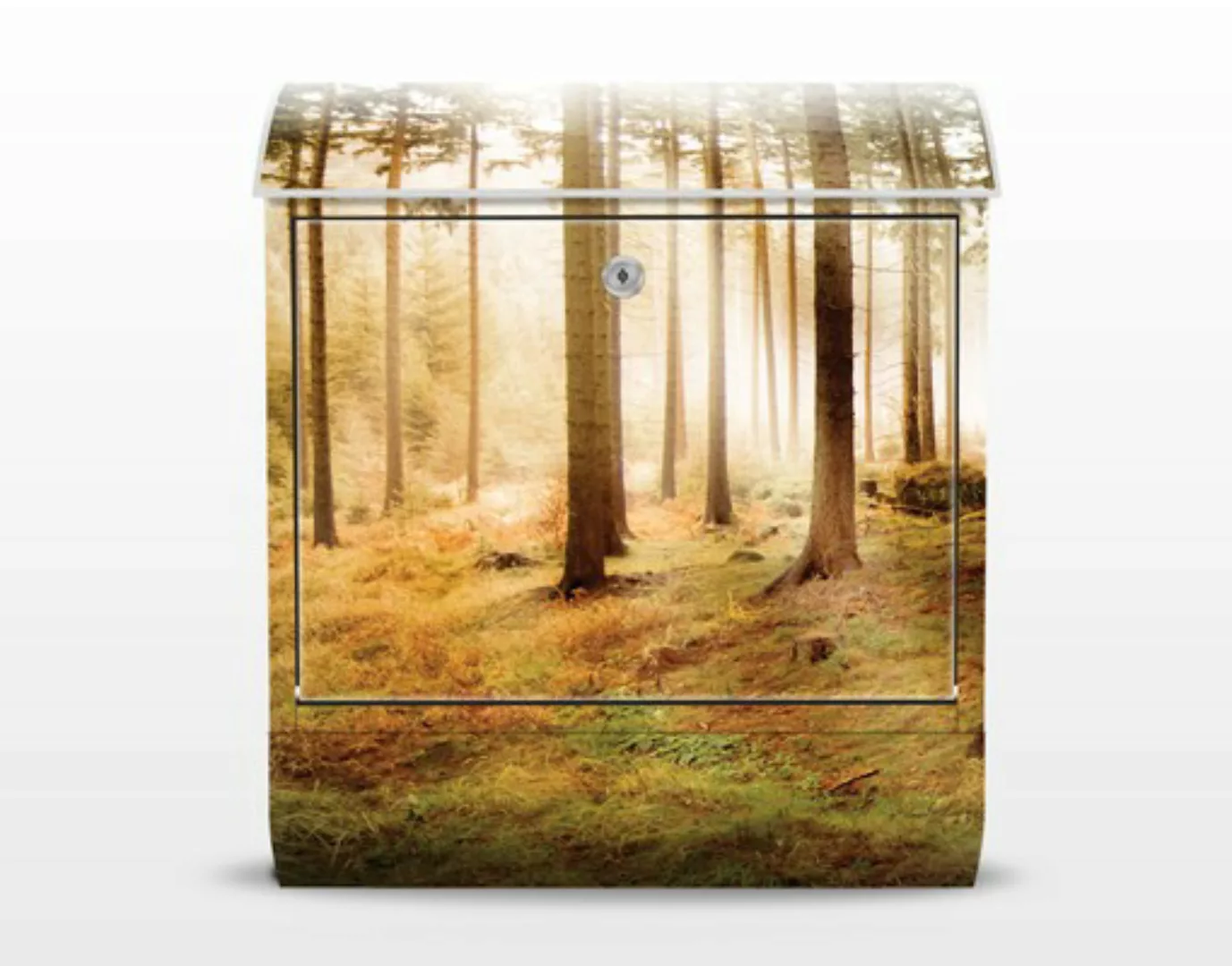 Briefkasten No.CA48 Morning Forest günstig online kaufen