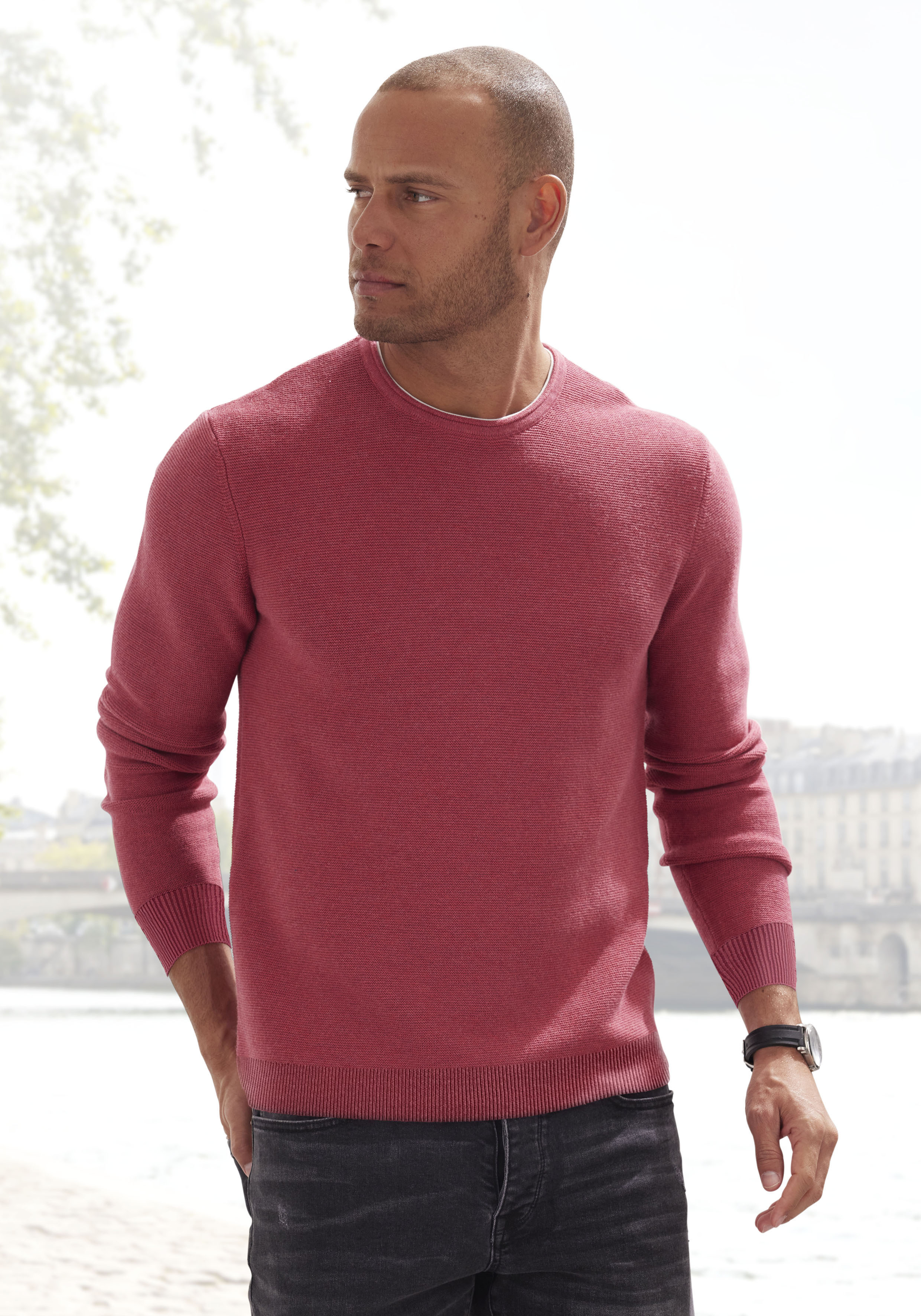 AUTHENTIC LE JOGGER Strickpullover mit Double-Layer Optik, Rundhalspullover günstig online kaufen