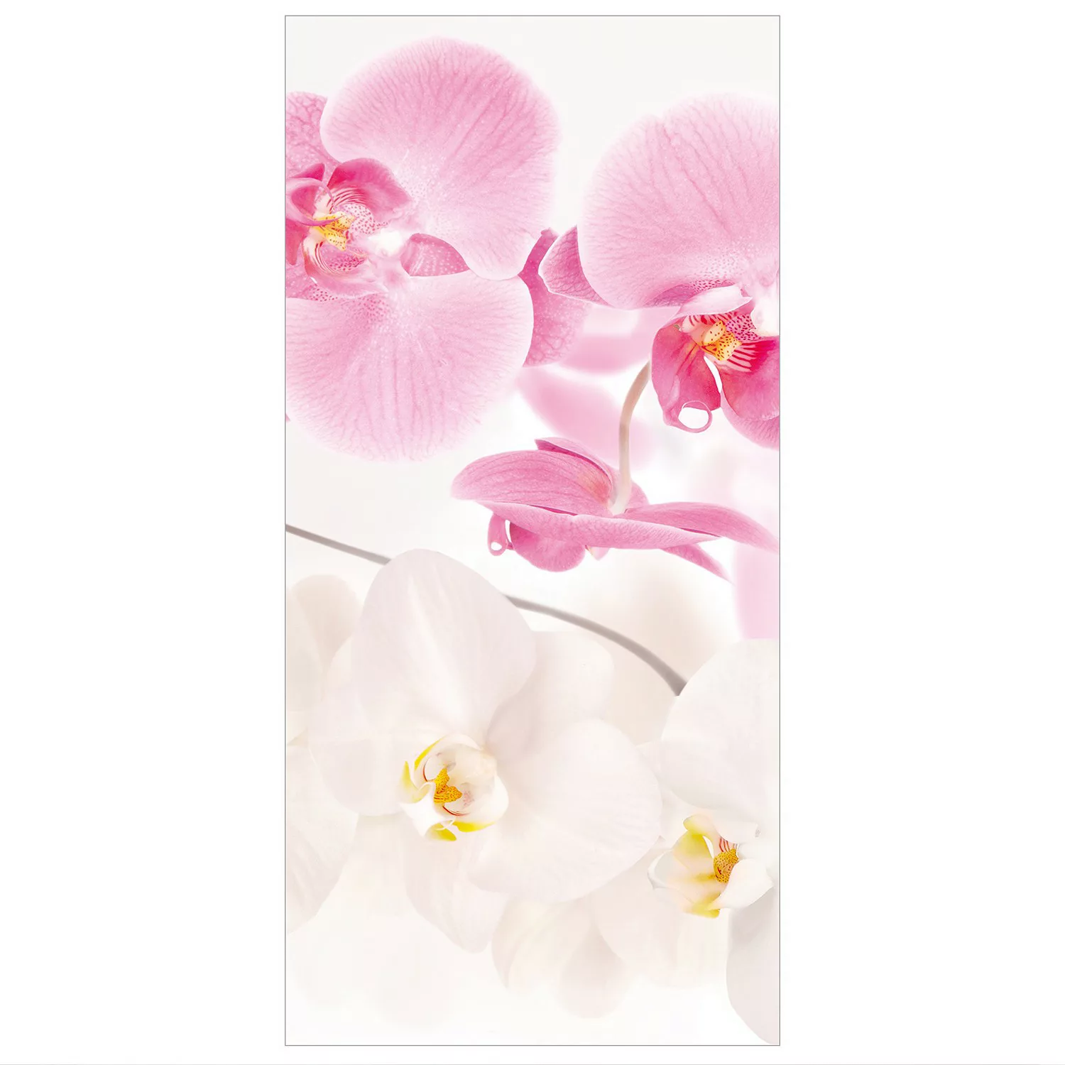 home24 Raumteiler Wellness Orchidee günstig online kaufen