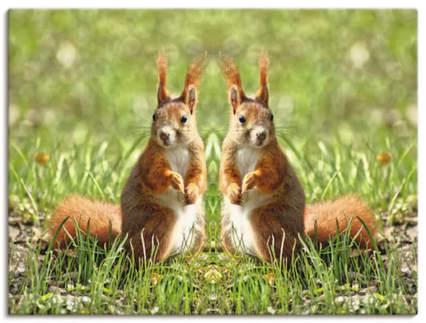 Artland Wandbild "Rote Eichhörnchen Zwillinge", Wildtiere, (1 St.), als Lei günstig online kaufen