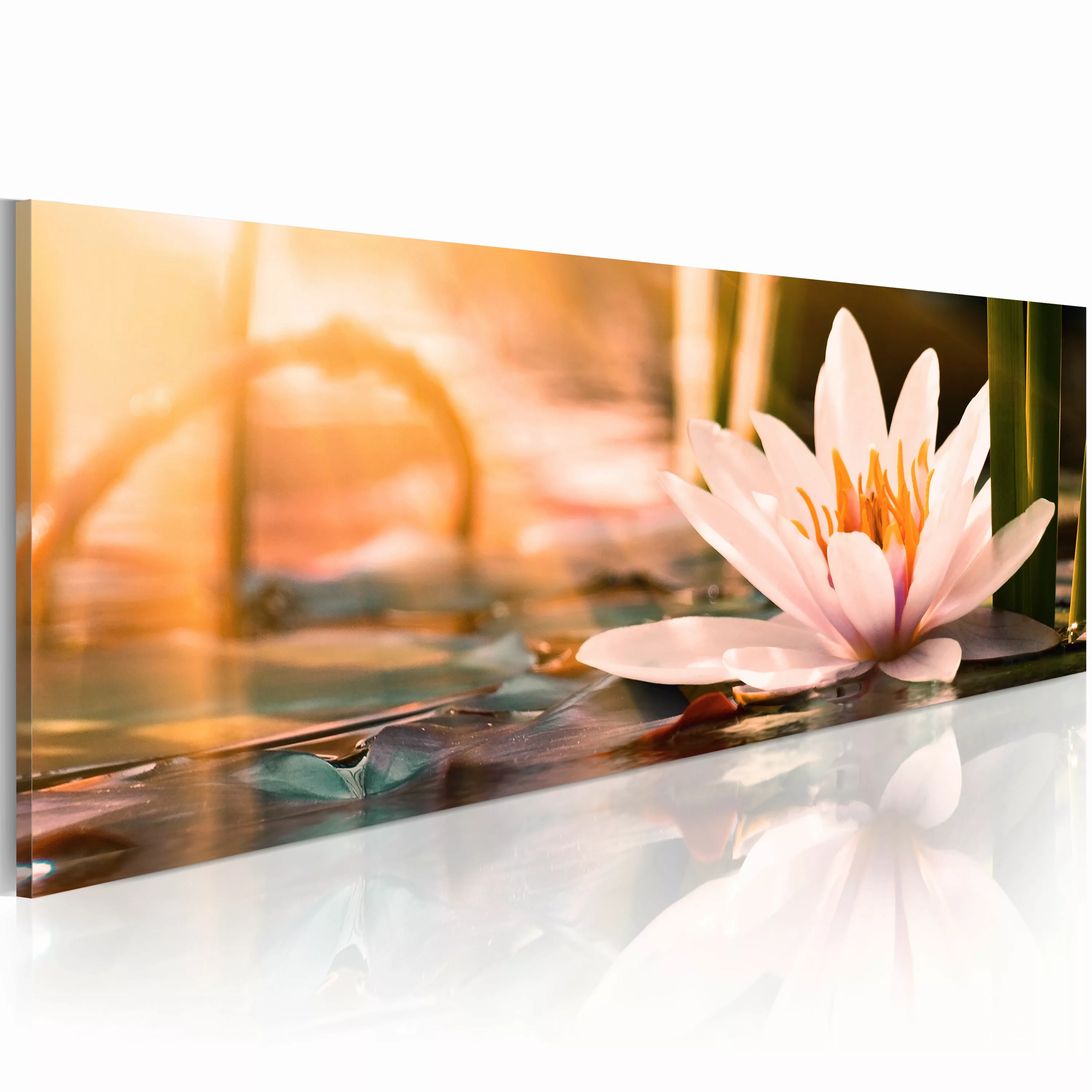 Wandbild - Beautiful Lotus günstig online kaufen