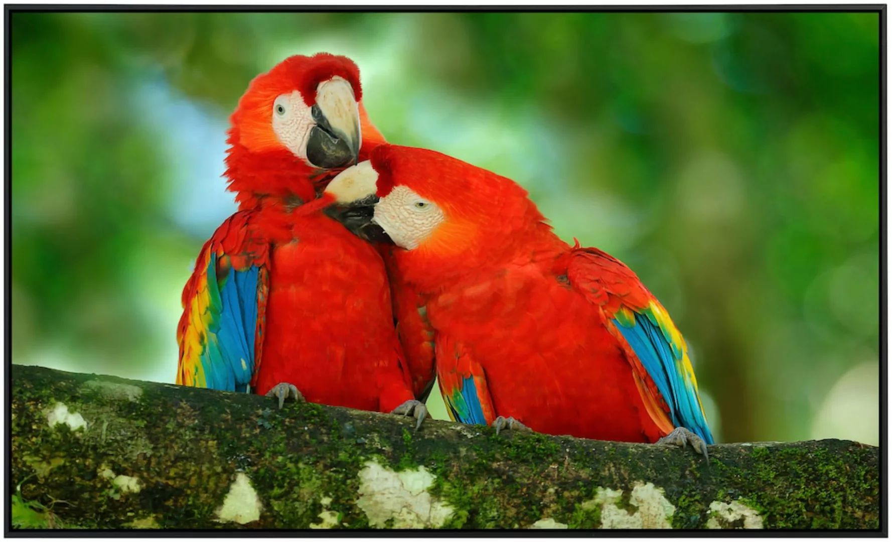 Papermoon Infrarotheizung »Papageien«, sehr angenehme Strahlungswärme günstig online kaufen