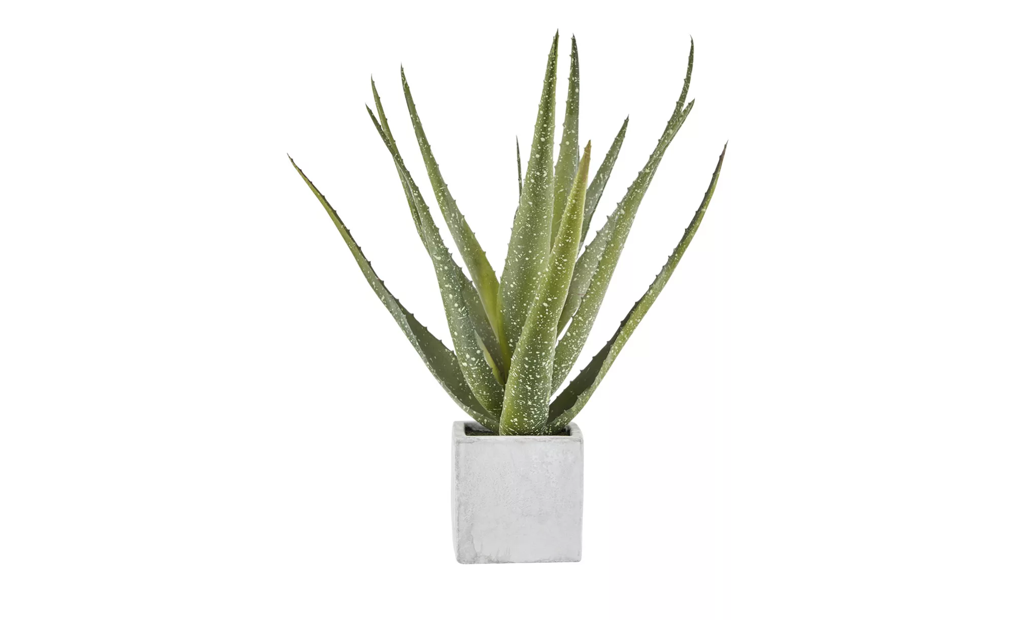 Aloe im Keramiktopf  Kunstblume - grün - Keramik, Kunststoff - 35 cm - Scon günstig online kaufen