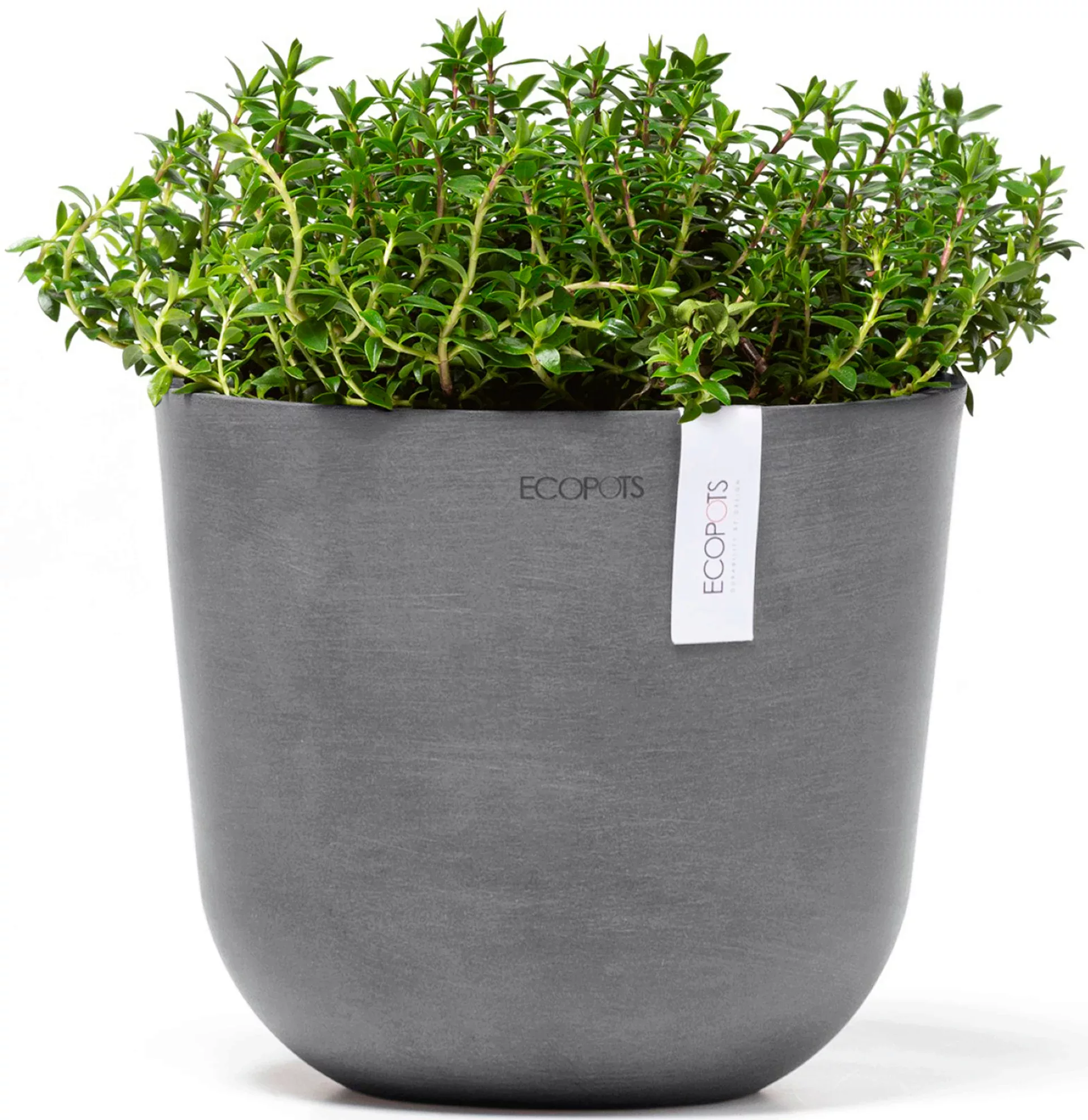 ECOPOTS Blumentopf "Oslo Mini 19 Grau", für den Innenbereich günstig online kaufen