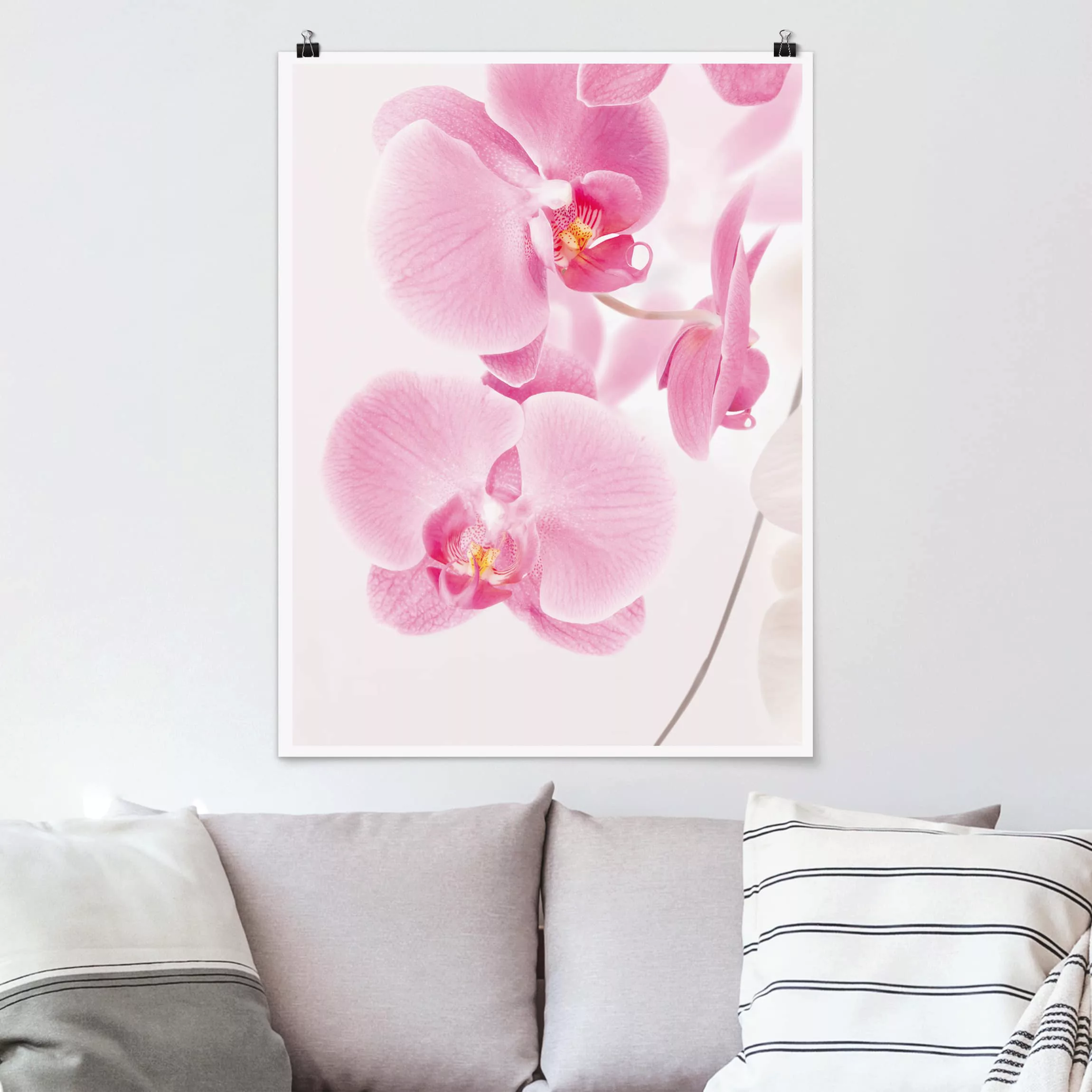 Poster Blumen - Hochformat Delicate Orchids günstig online kaufen