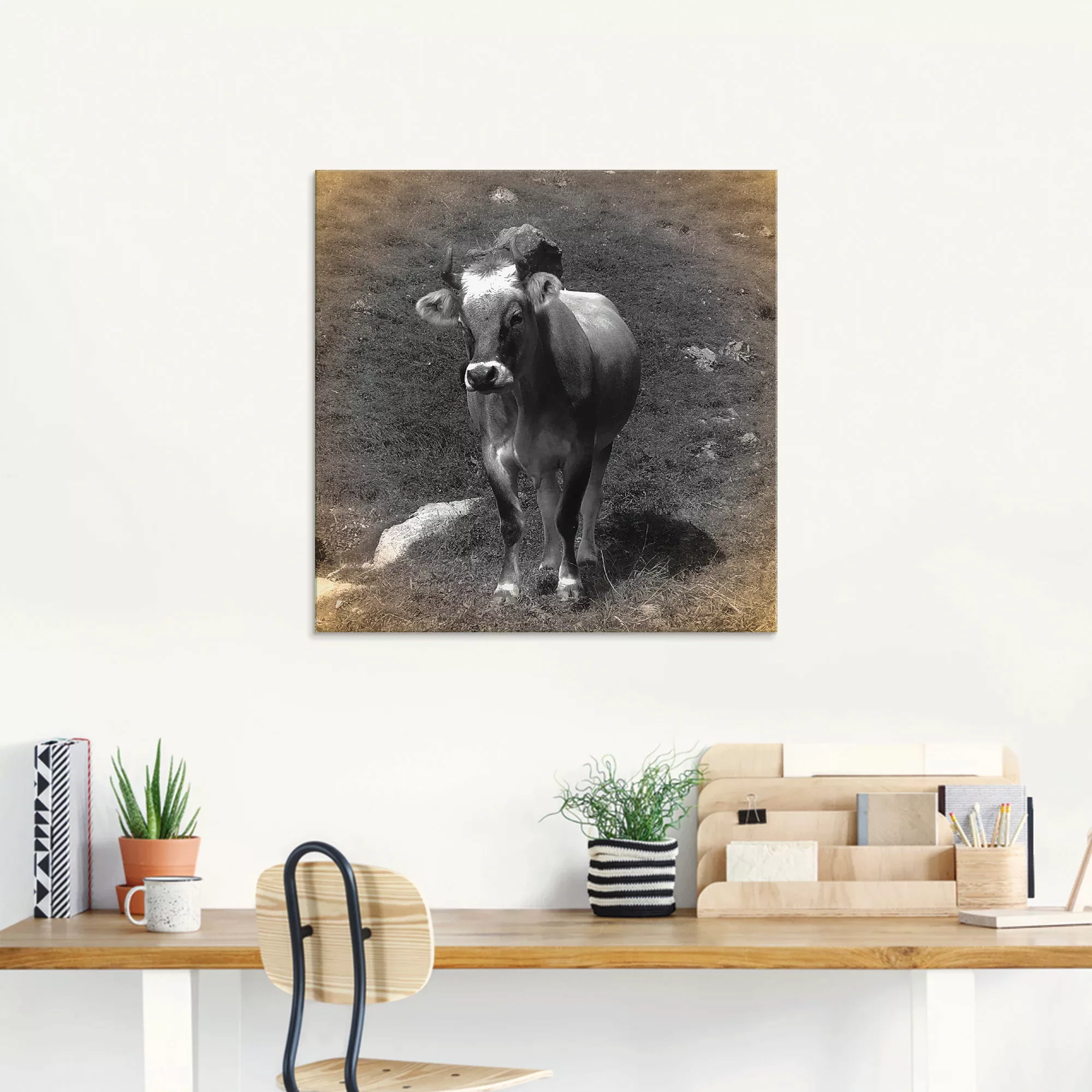 Artland Glasbild "Kuh Kontakt", Haustiere, (1 St.) günstig online kaufen